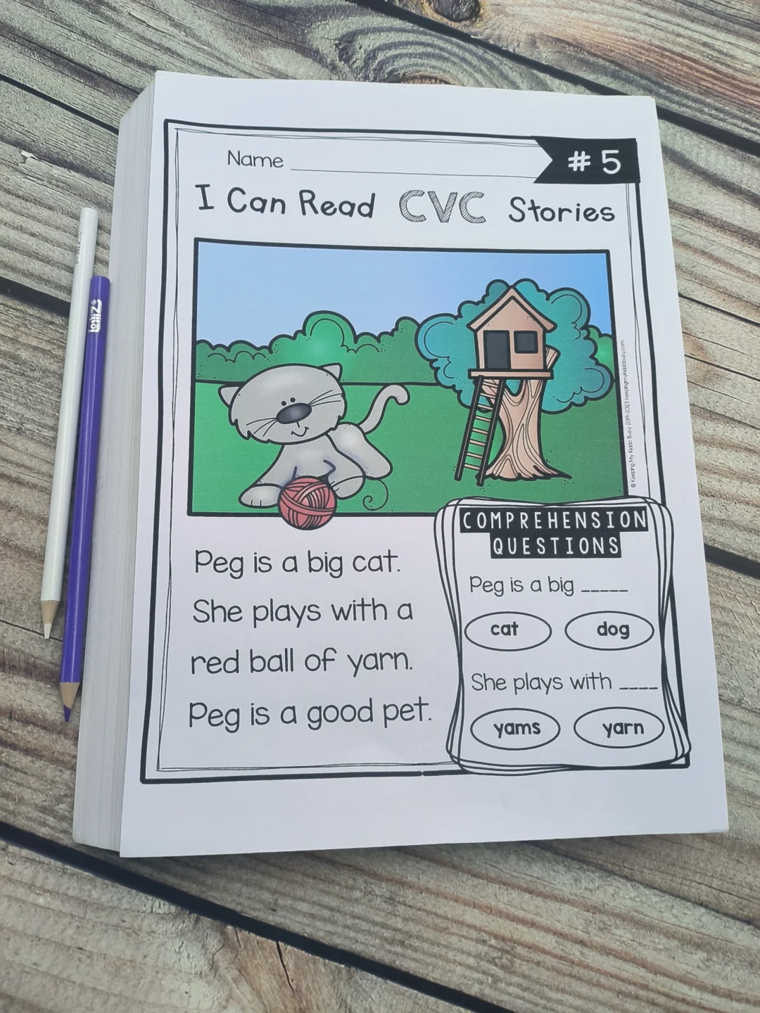 儿子每天练一页｜cvc阅读理解🉑打印✌