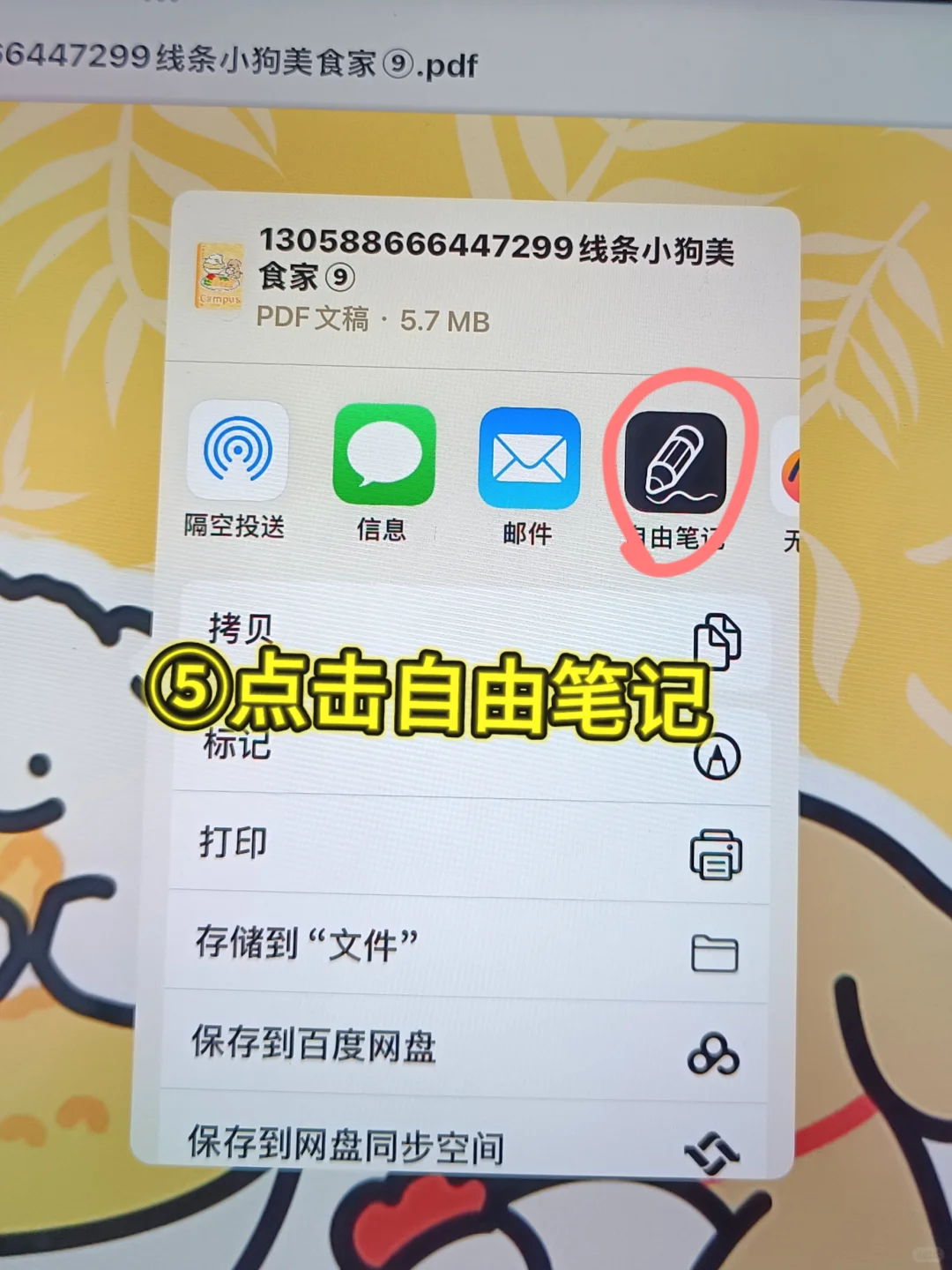 📚iPad小白必看！自由笔记导入电子笔记本