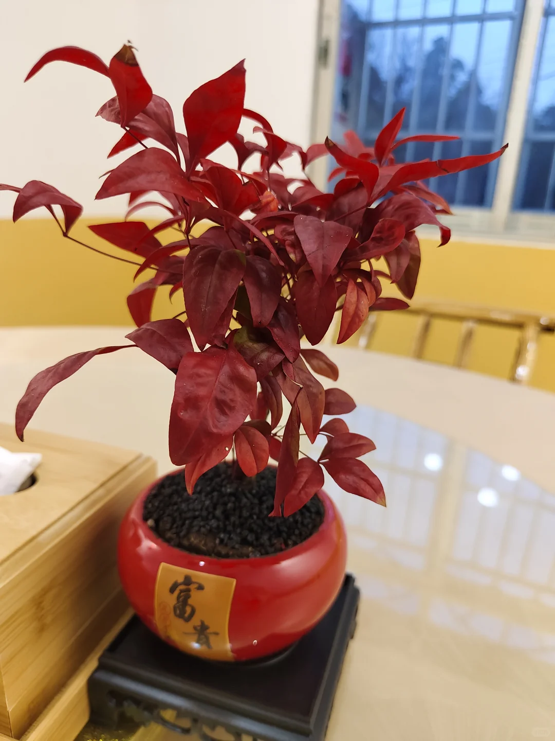 经常看书与不看书，差距到底有多大😭