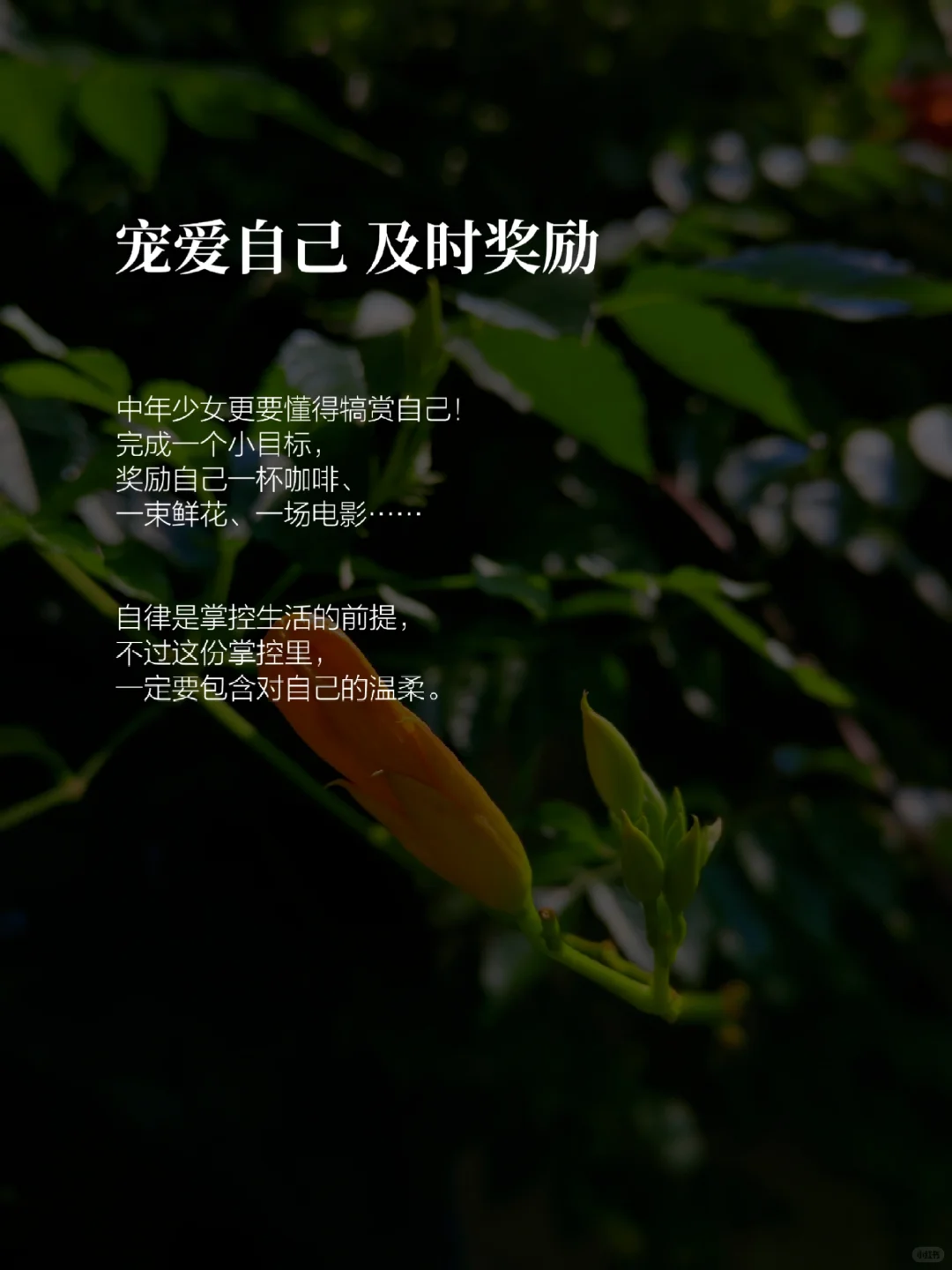 女人就该过自律自由的人生