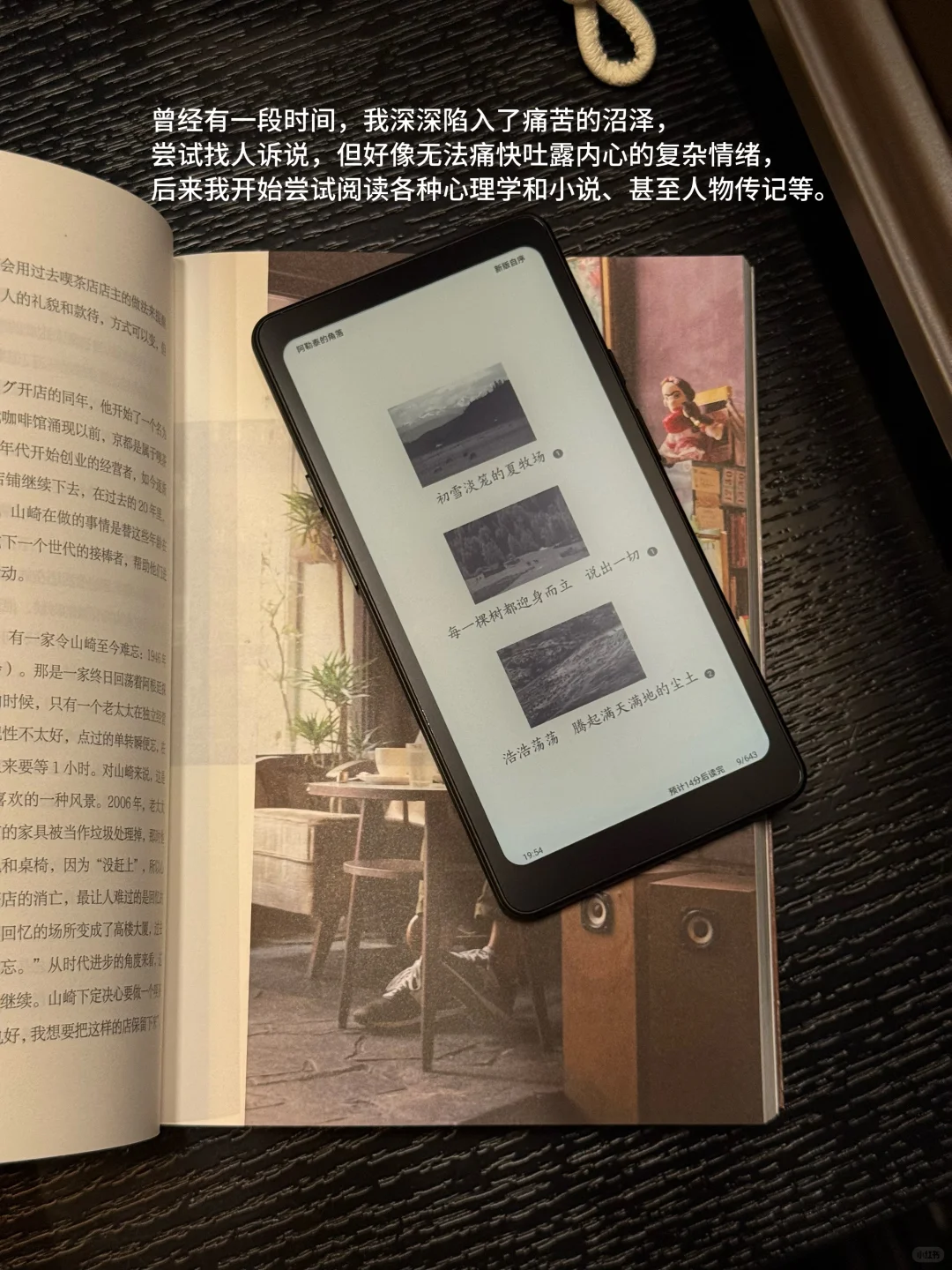 我不停地阅读，只是为了理解自己的痛苦