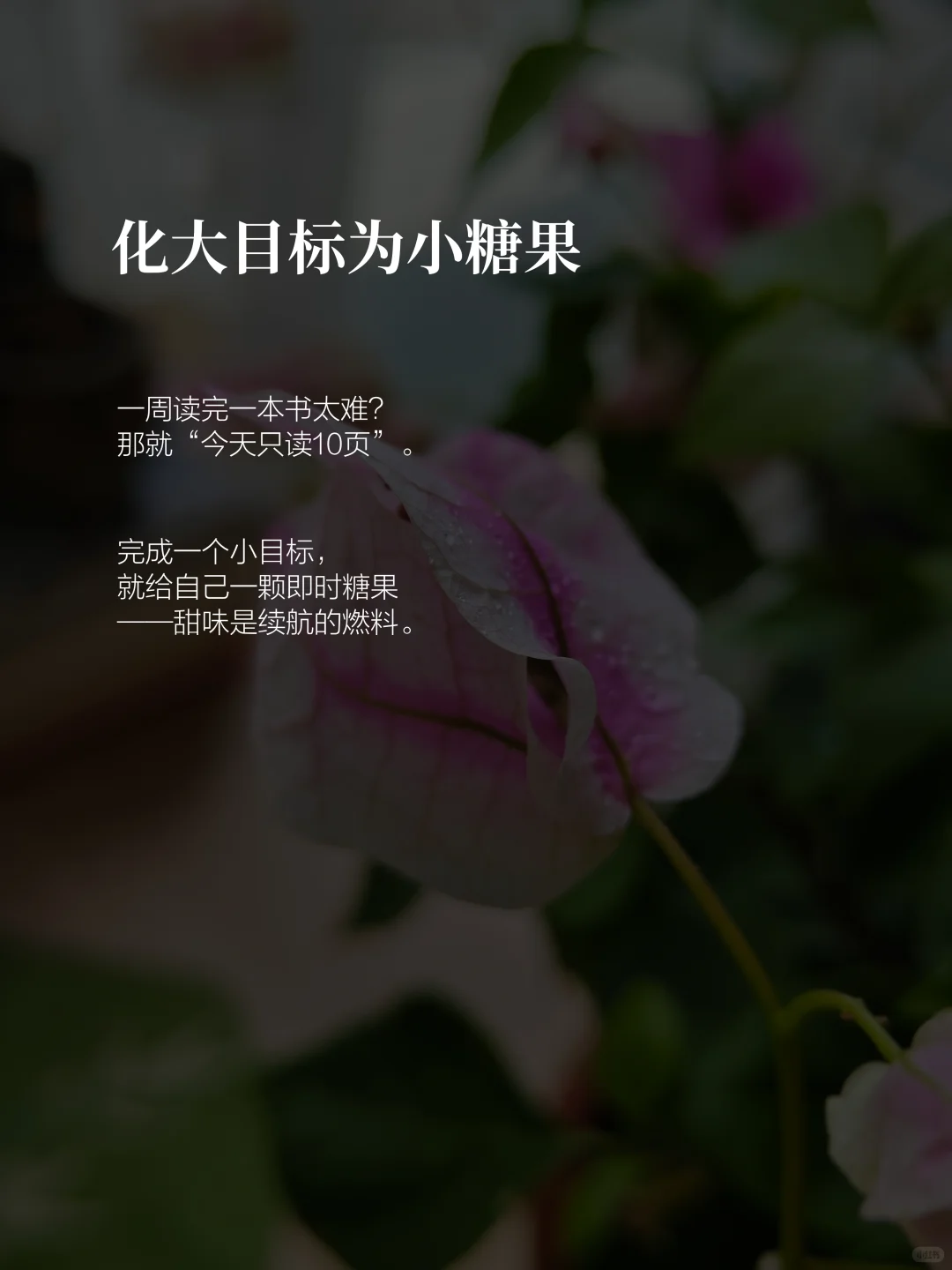 女人就该过自律自由的人生