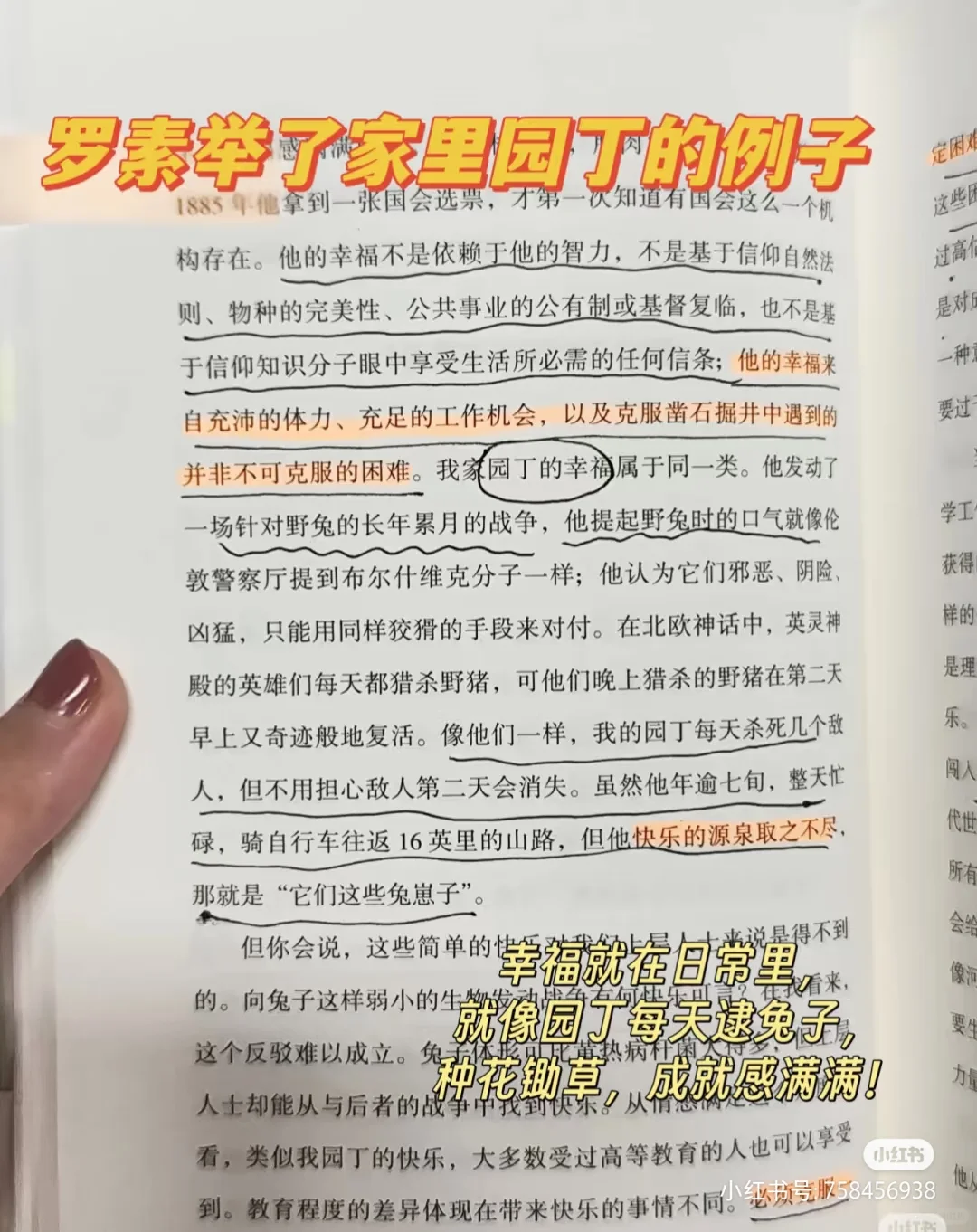 天呐，马斯克，解锁了情绪自由新境界！！！