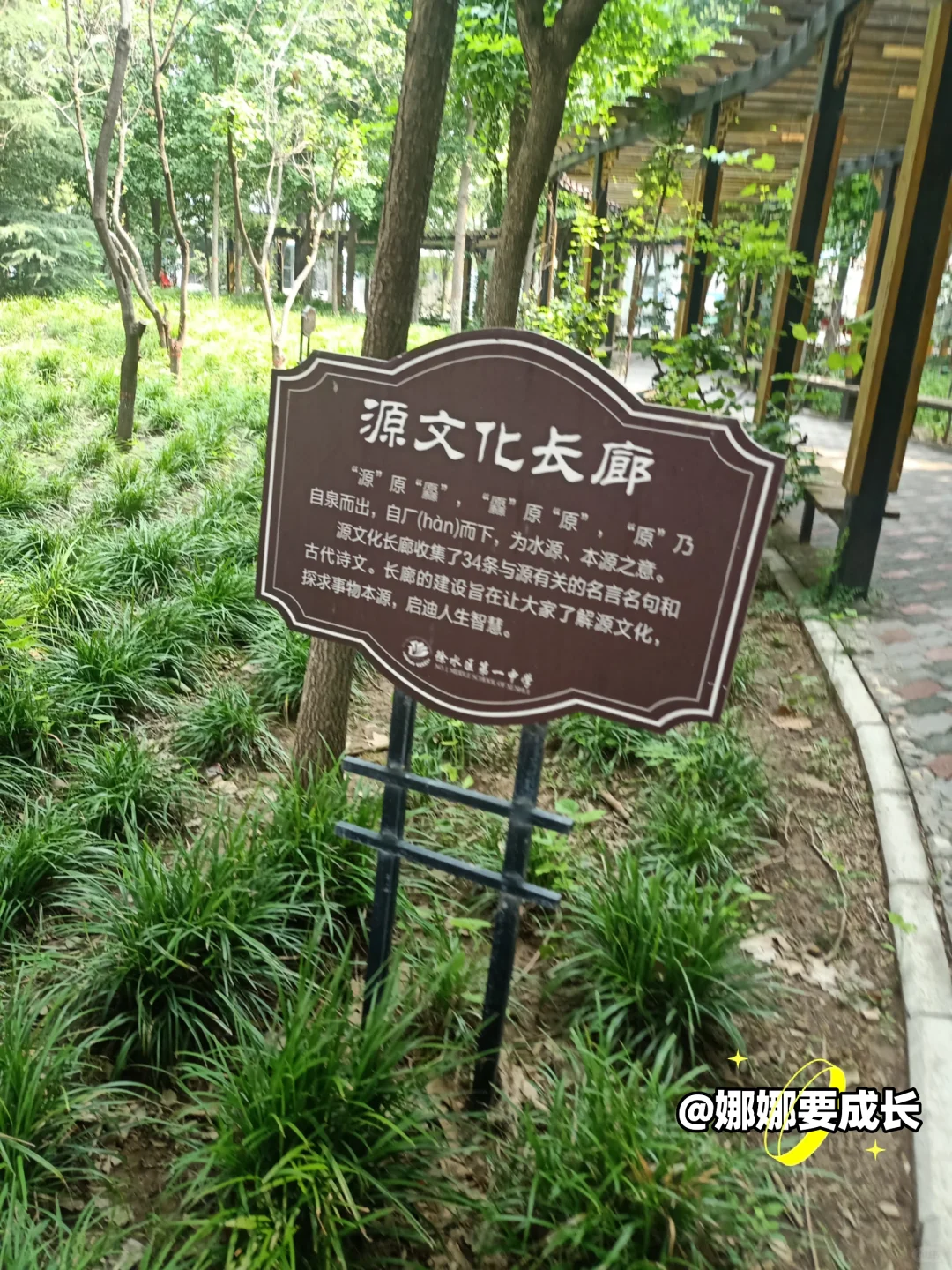 💥挑战100天读书和运动✨第9天（自由篇）