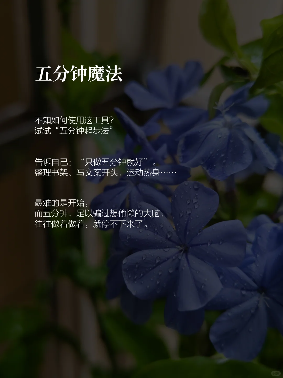 女人就该过自律自由的人生