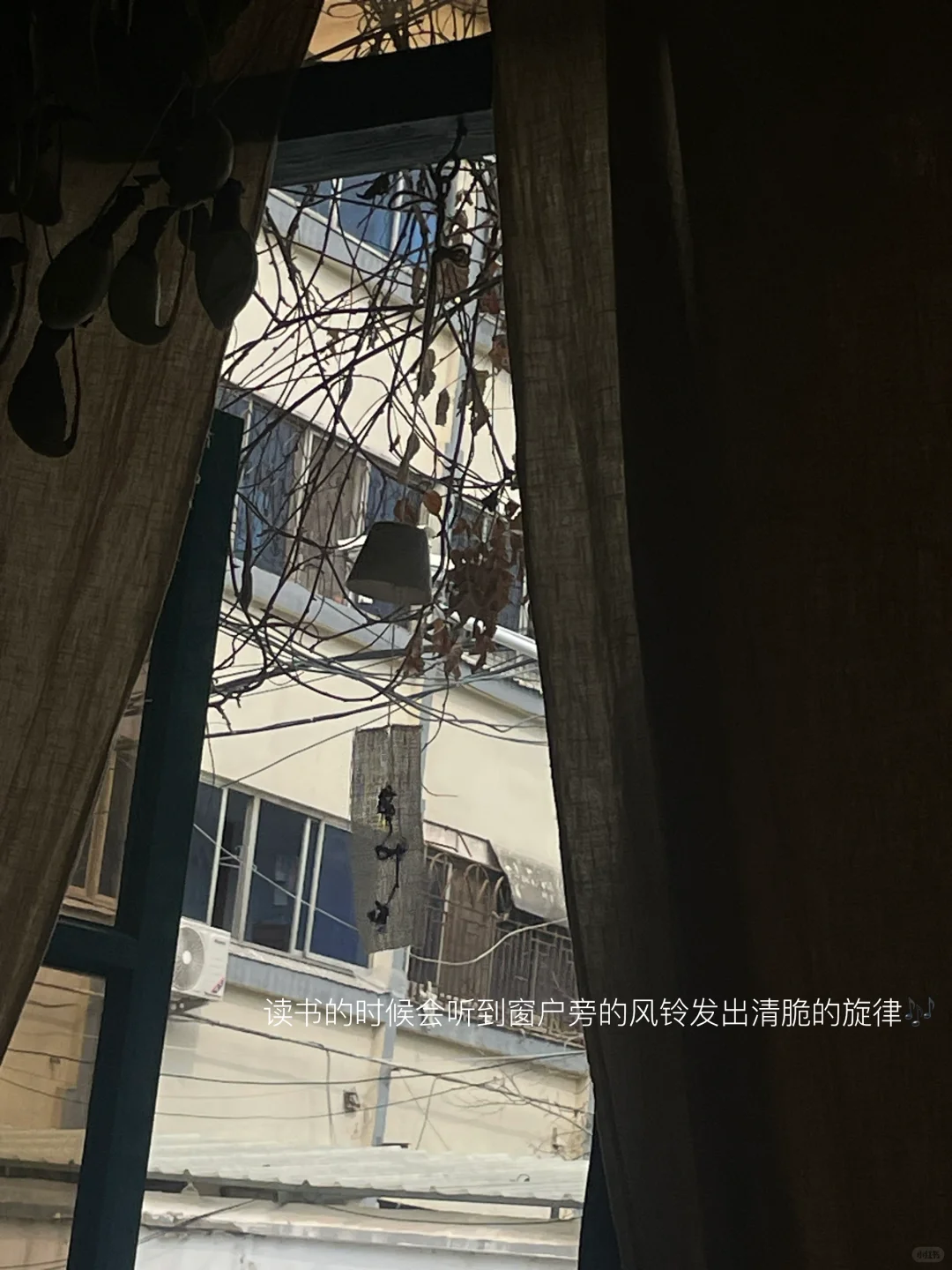 阅读和独处是我人生前进的燃料