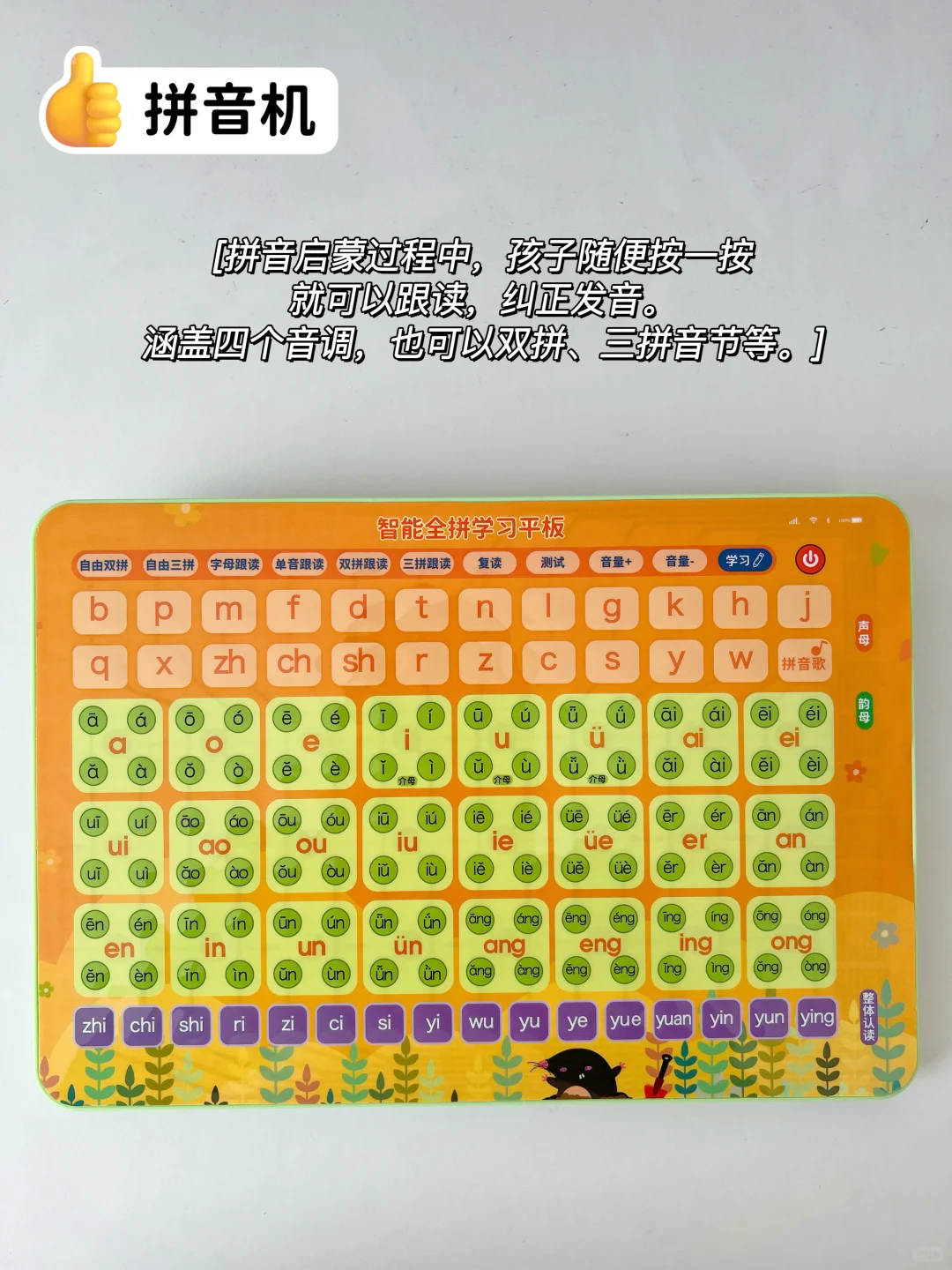 幼儿园大班-自用学习教具分享🌟全科系列