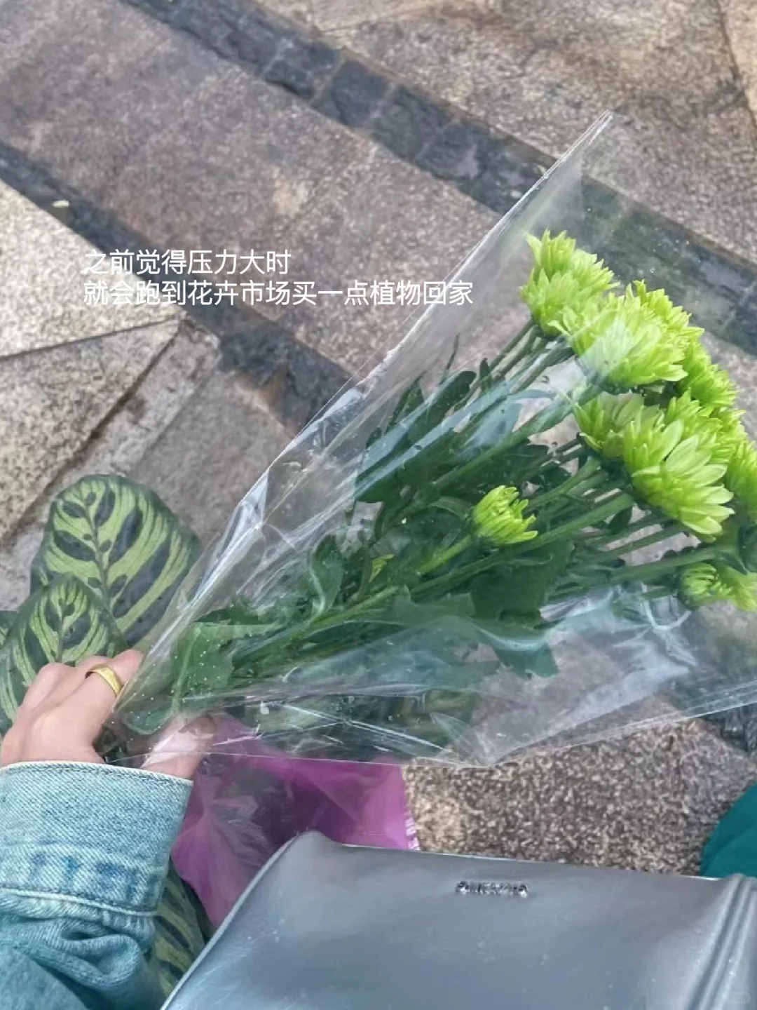 我的解压方式：散步，读书，晒太阳，不联系。