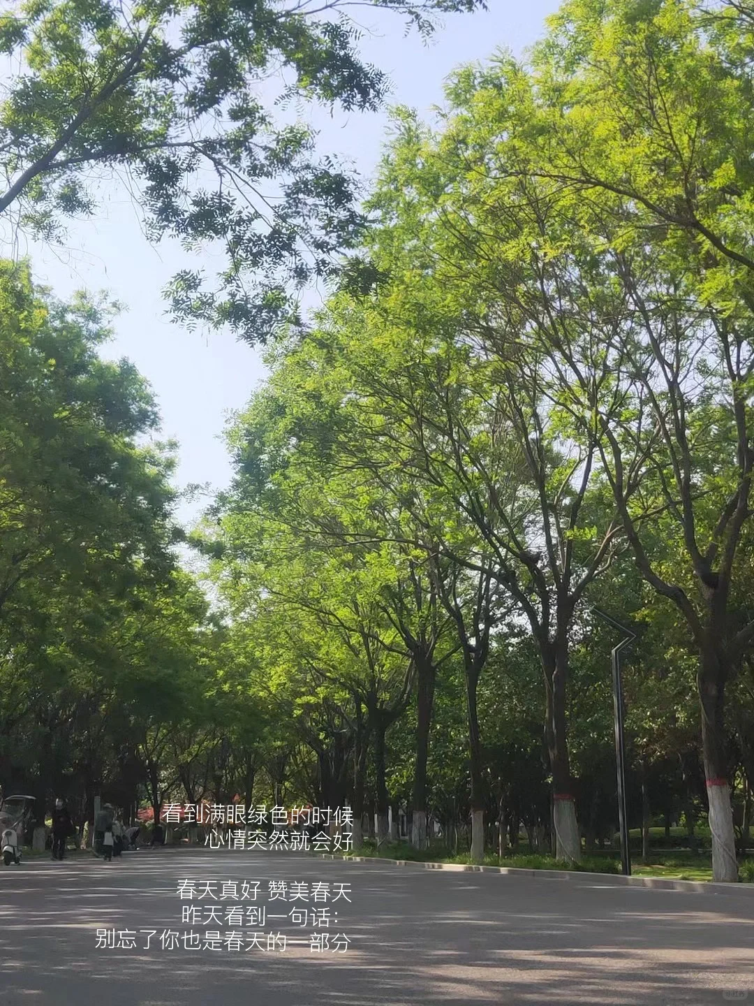 我的解压方式：散步，读书，晒太阳，不联系。