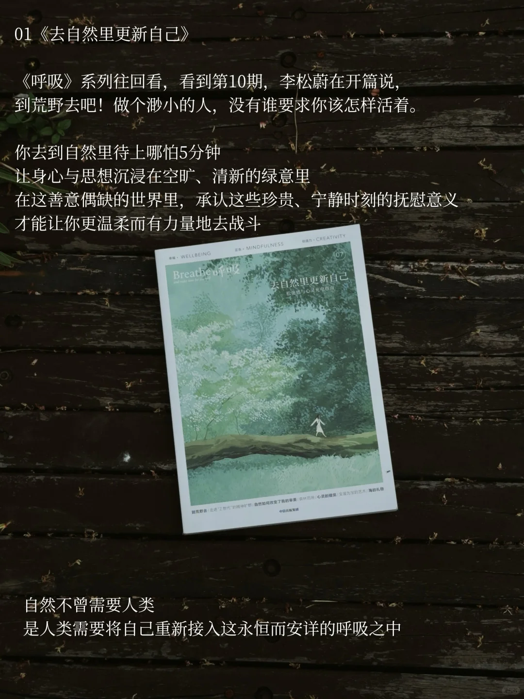 初秋、阅读、去自然里更新自己