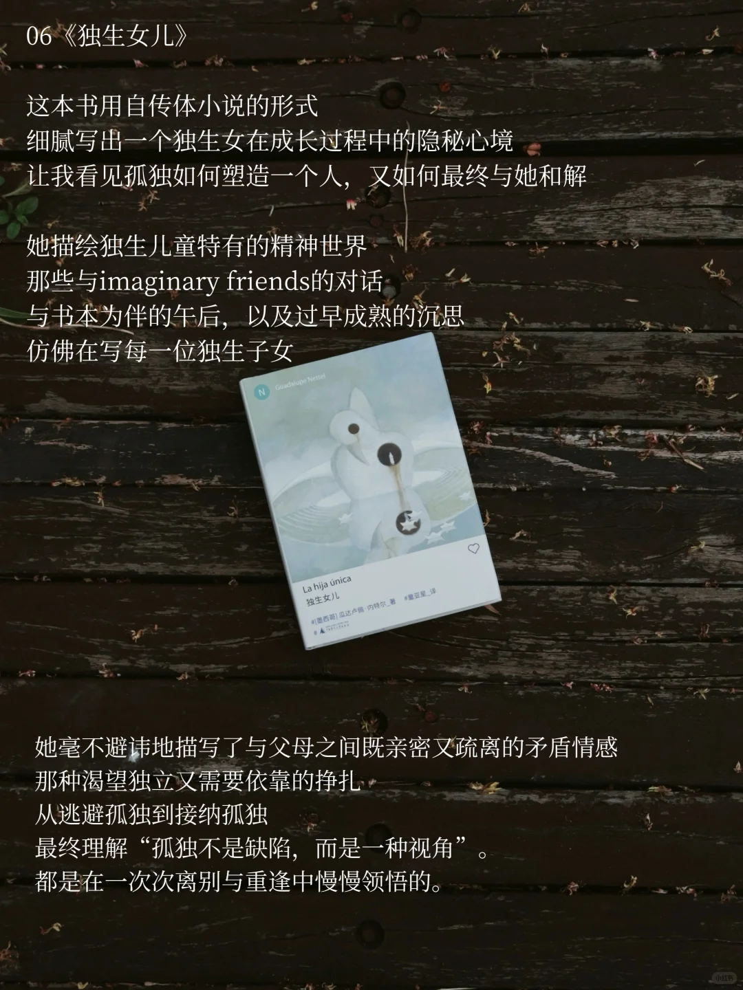 初秋、阅读、去自然里更新自己