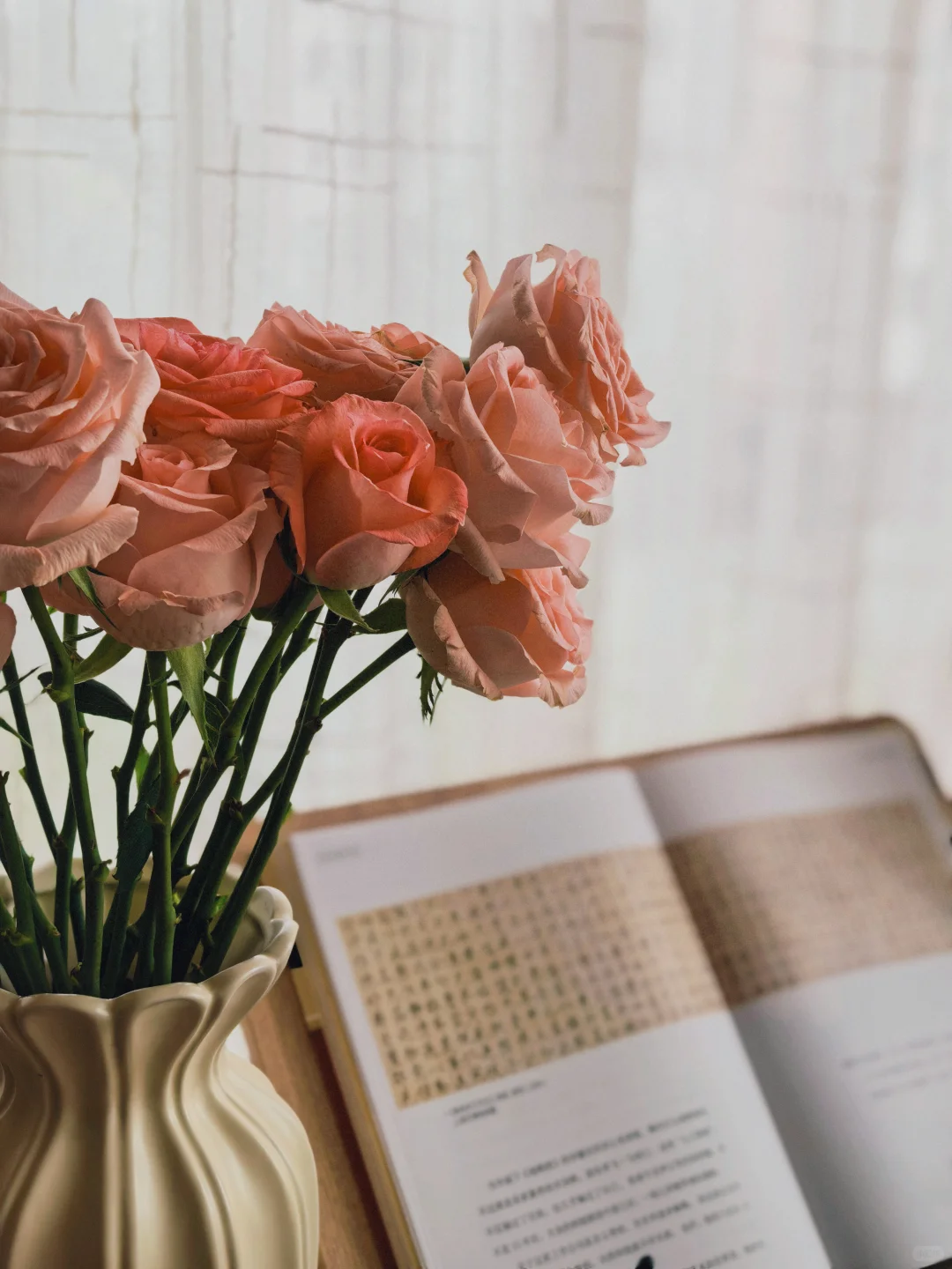 📖 我的精神恢复角落｜中年少女自我滋养