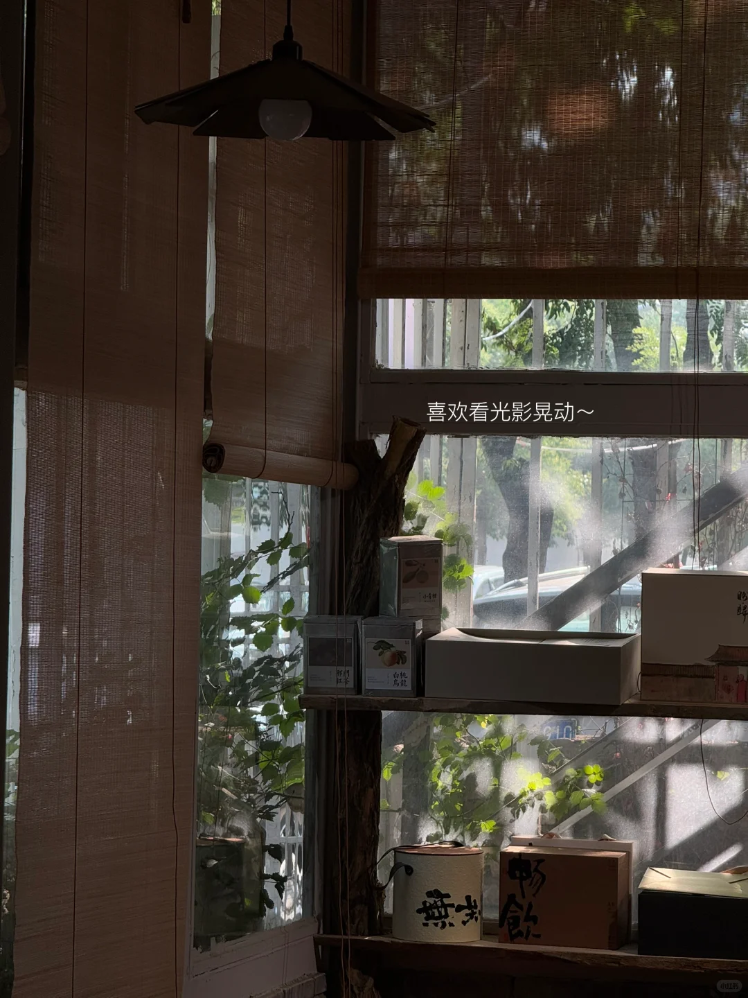 散步、看书、喝咖啡 ，过具体的生活