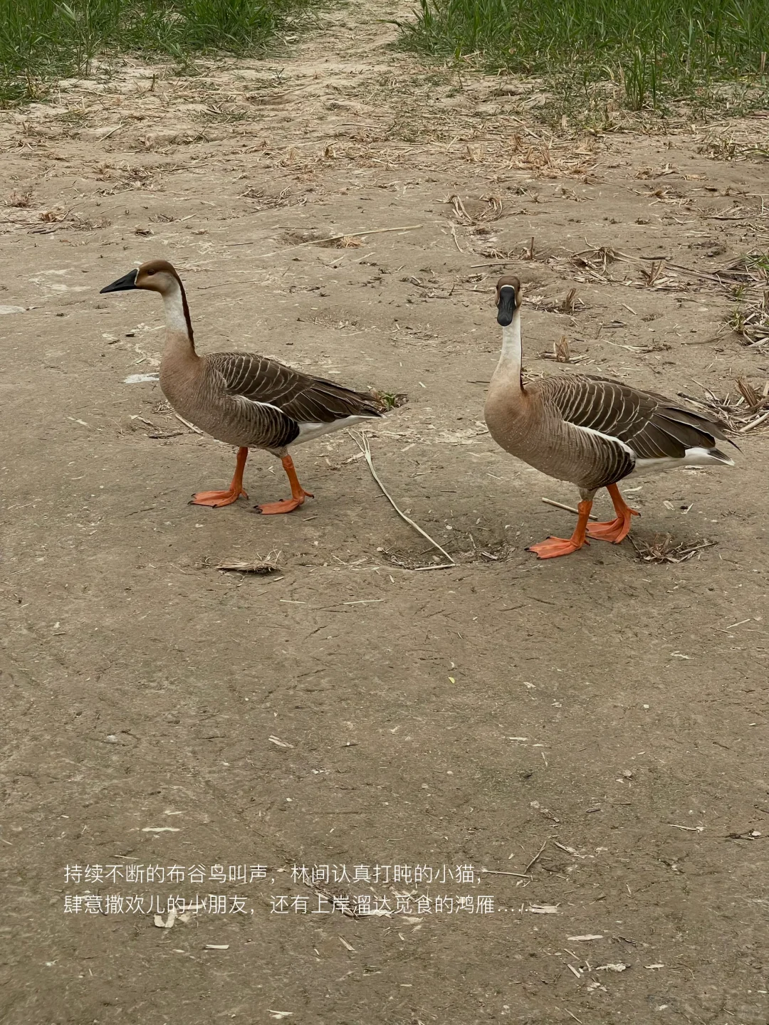 只要我们还在感受，世界就依然生动