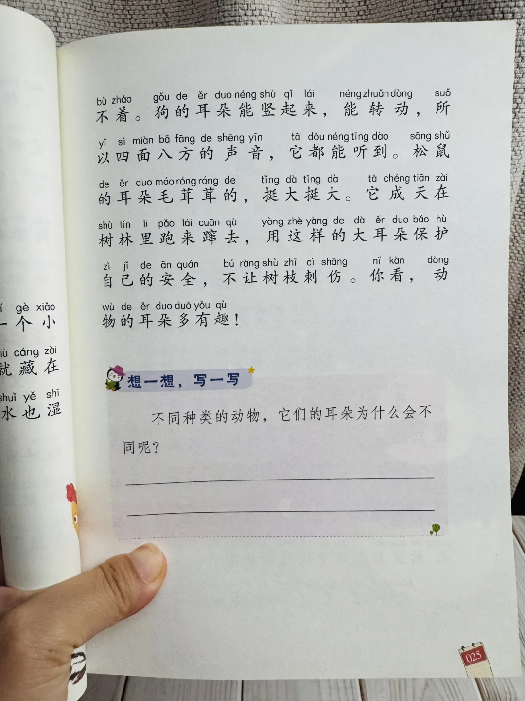 这才是一年级《和大人一起读》正确打开方式✅