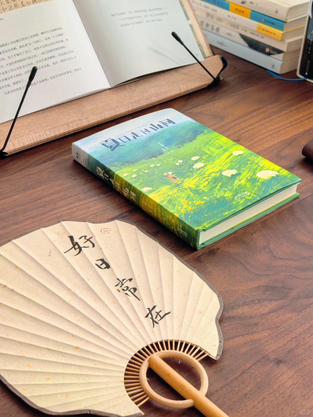 📖 我的精神恢复角落｜中年少女自我滋养