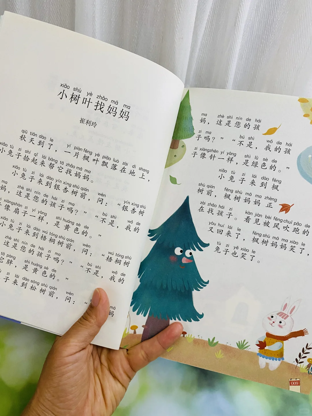 一二年级不用费心去选书❗️听语文老师的没错