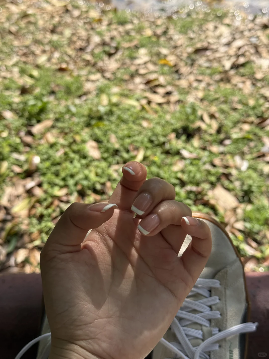 独处、晒太阳、读书｜人比植物更需要光合作用