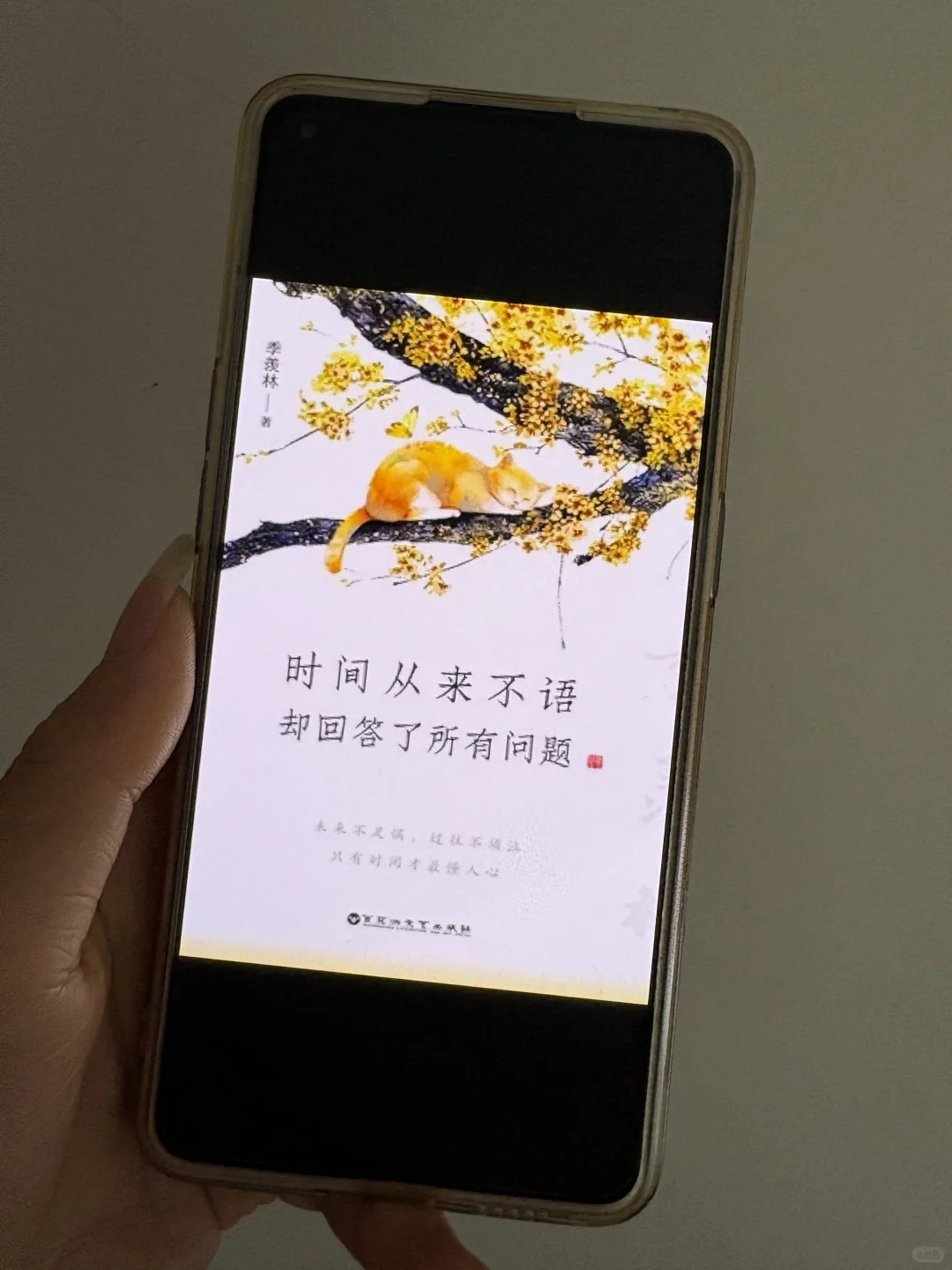 终于实现电子书自由！我的宝藏书库大公开 ✨