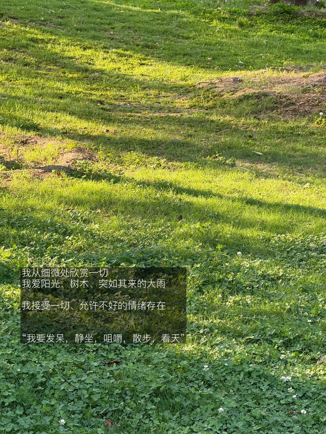“在小事里反复幸福”