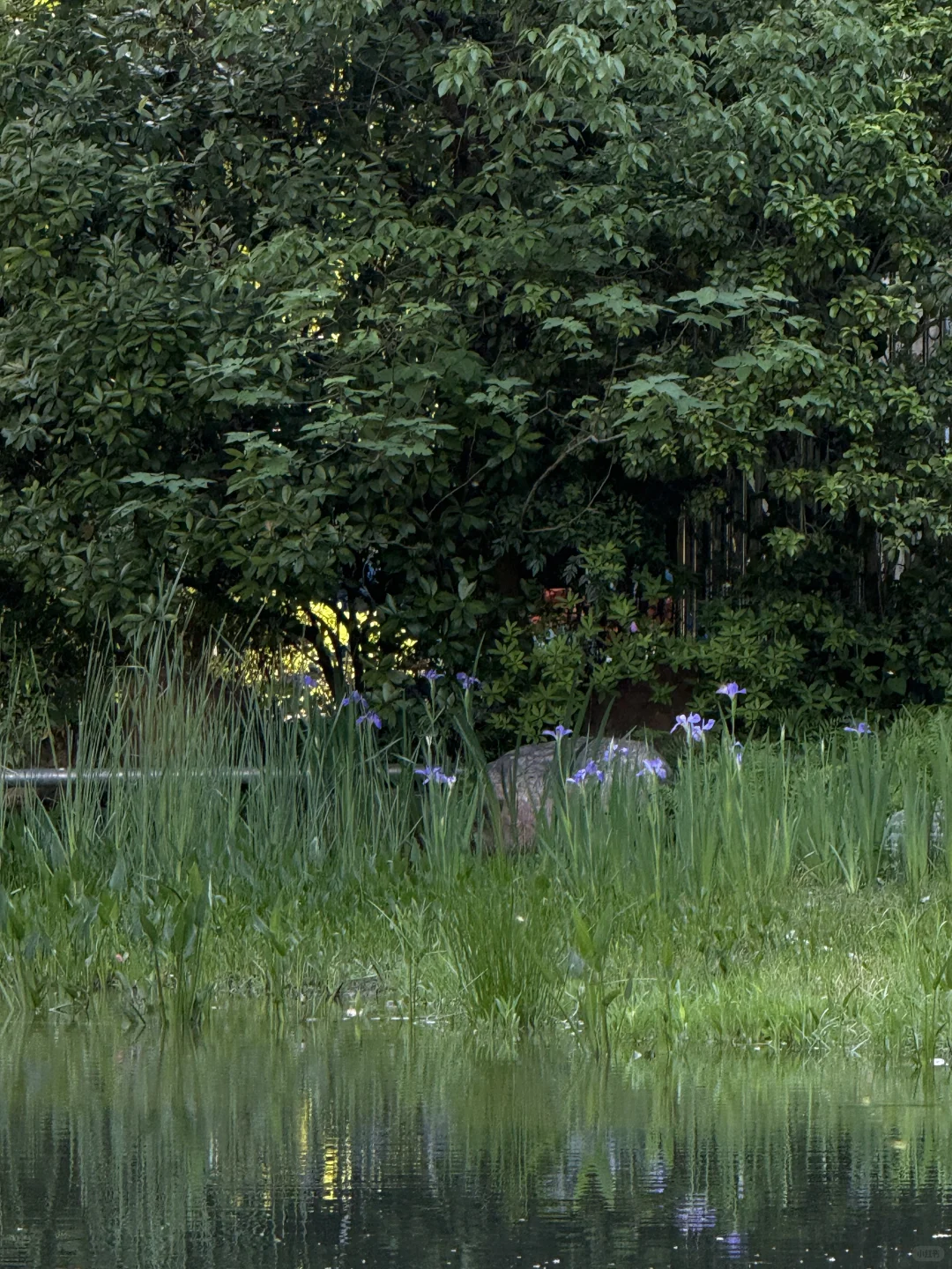 独处、晒太阳、读书｜人比植物更需要光合作用