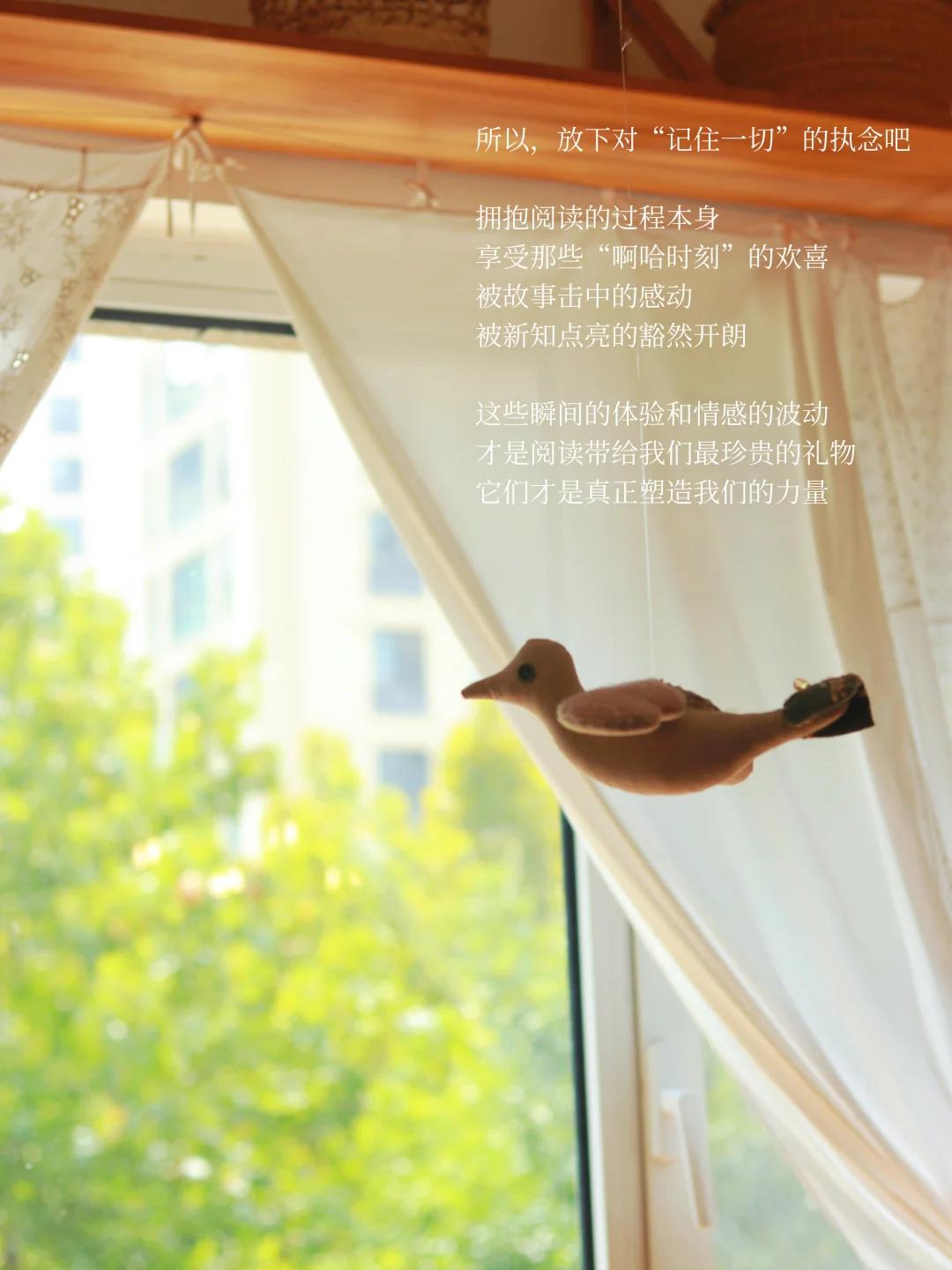 独处·读书·写作丨这才是阅读最神奇的力量🔥