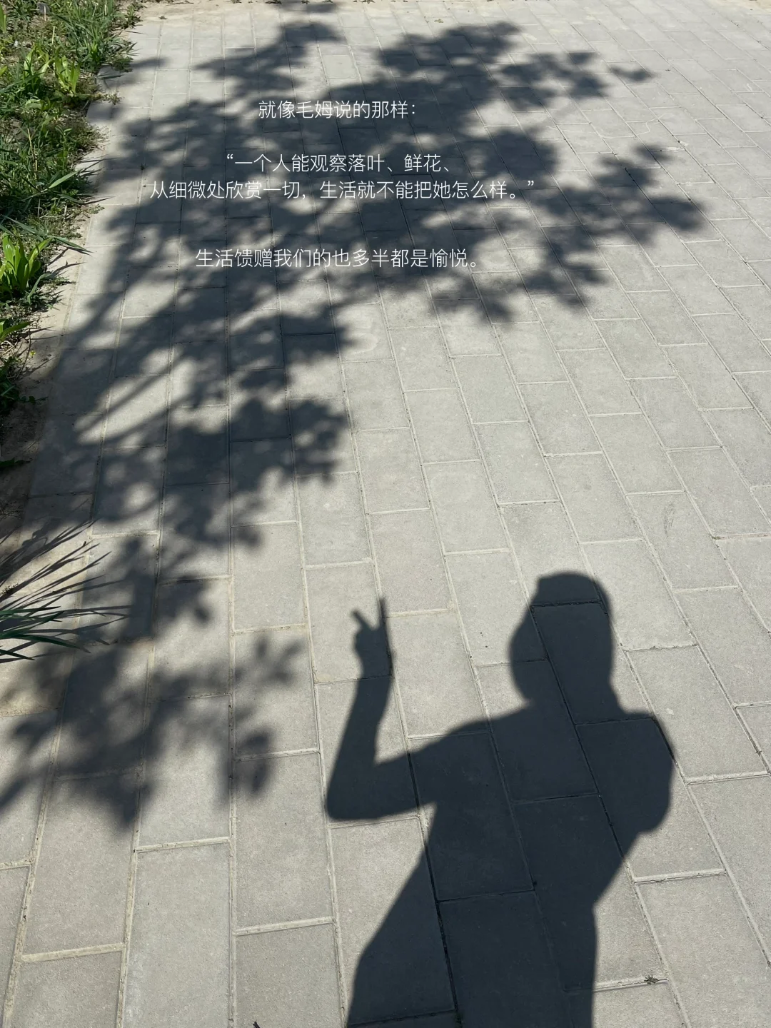 只要我们还在感受，世界就依然生动
