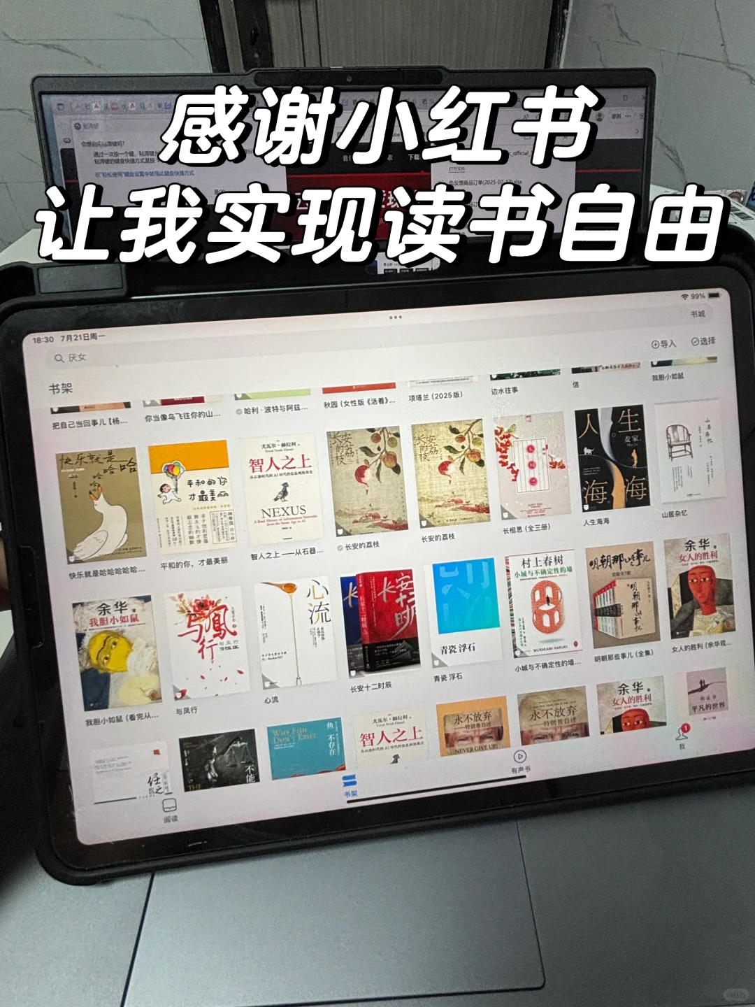 感谢小红书！！iPad电子书自由谁懂～