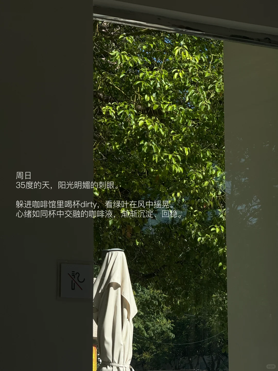 散步、看书、喝咖啡 ，过具体的生活