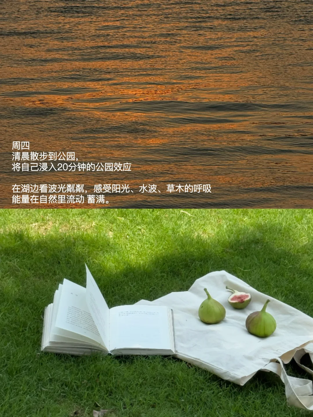 散步、看书、喝咖啡 ，过具体的生活