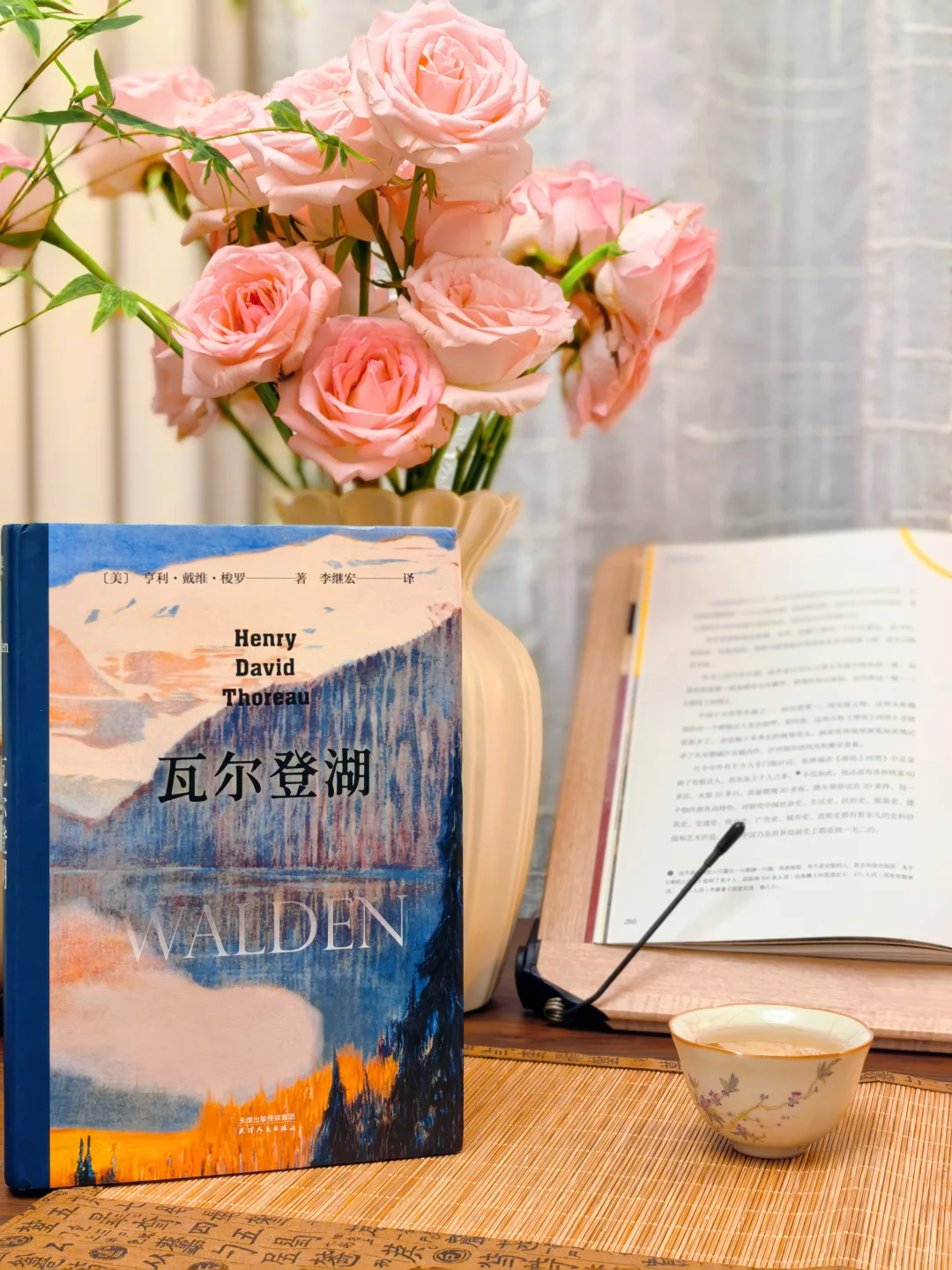 📖 我的精神恢复角落｜中年少女自我滋养