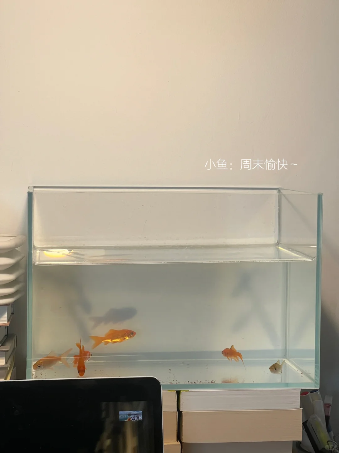 将周末时间留给阅读📖