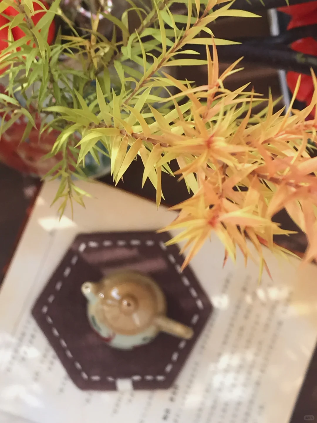 人总要有点爱好，来治.愈生活的疲惫和琐碎