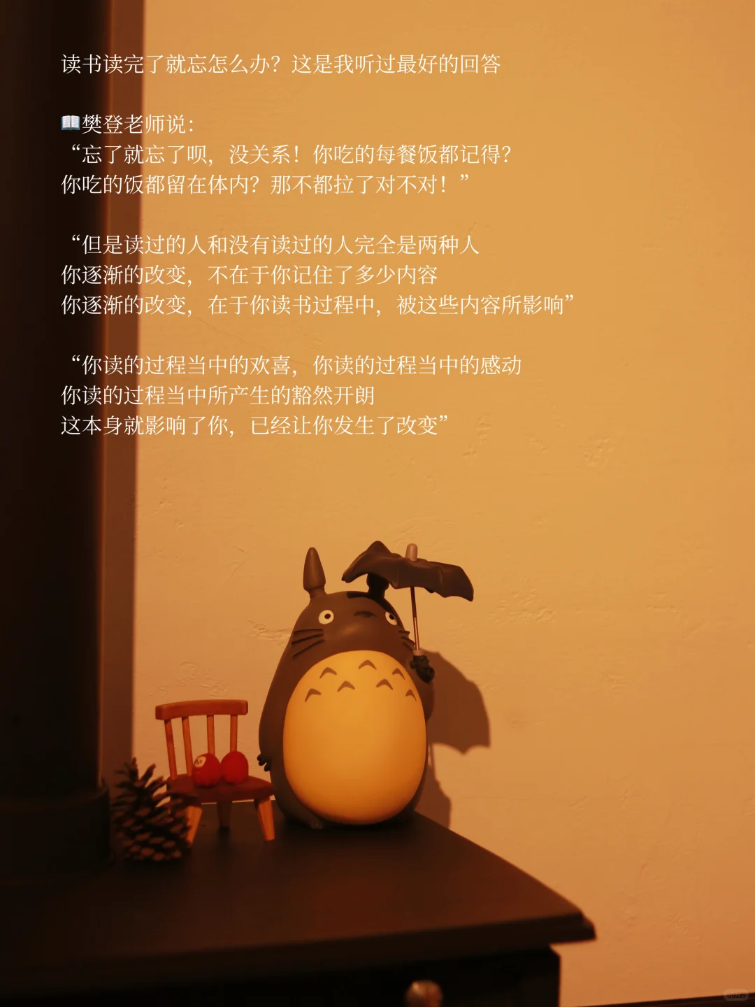独处·读书·写作丨这才是阅读最神奇的力量🔥