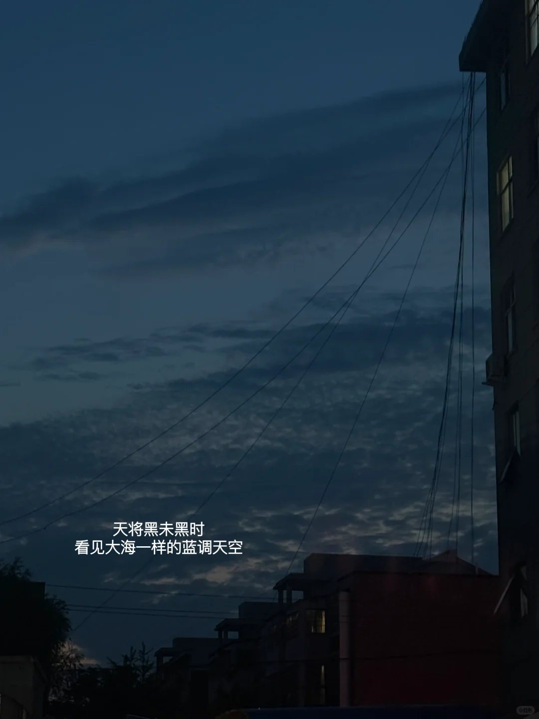 “在小事里反复幸福”