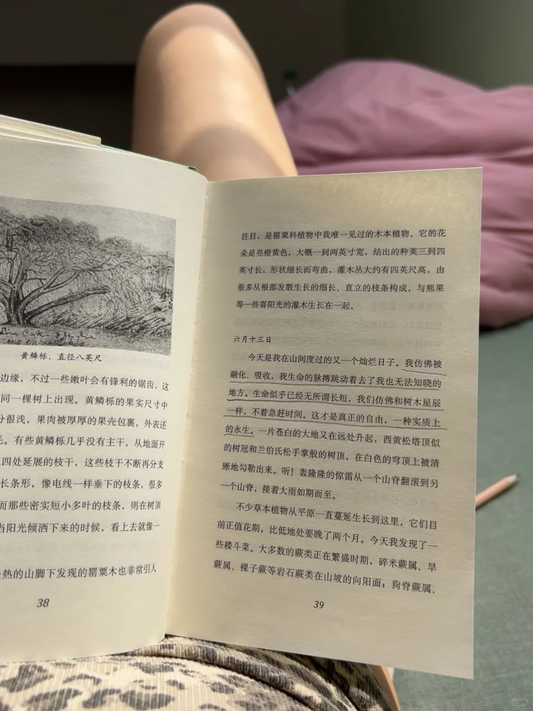 人，尽快开始读书吧