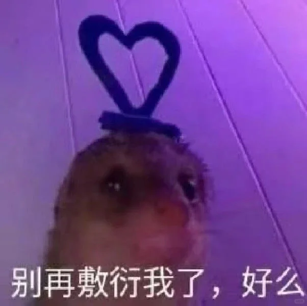 微信读书怎么什么都没有