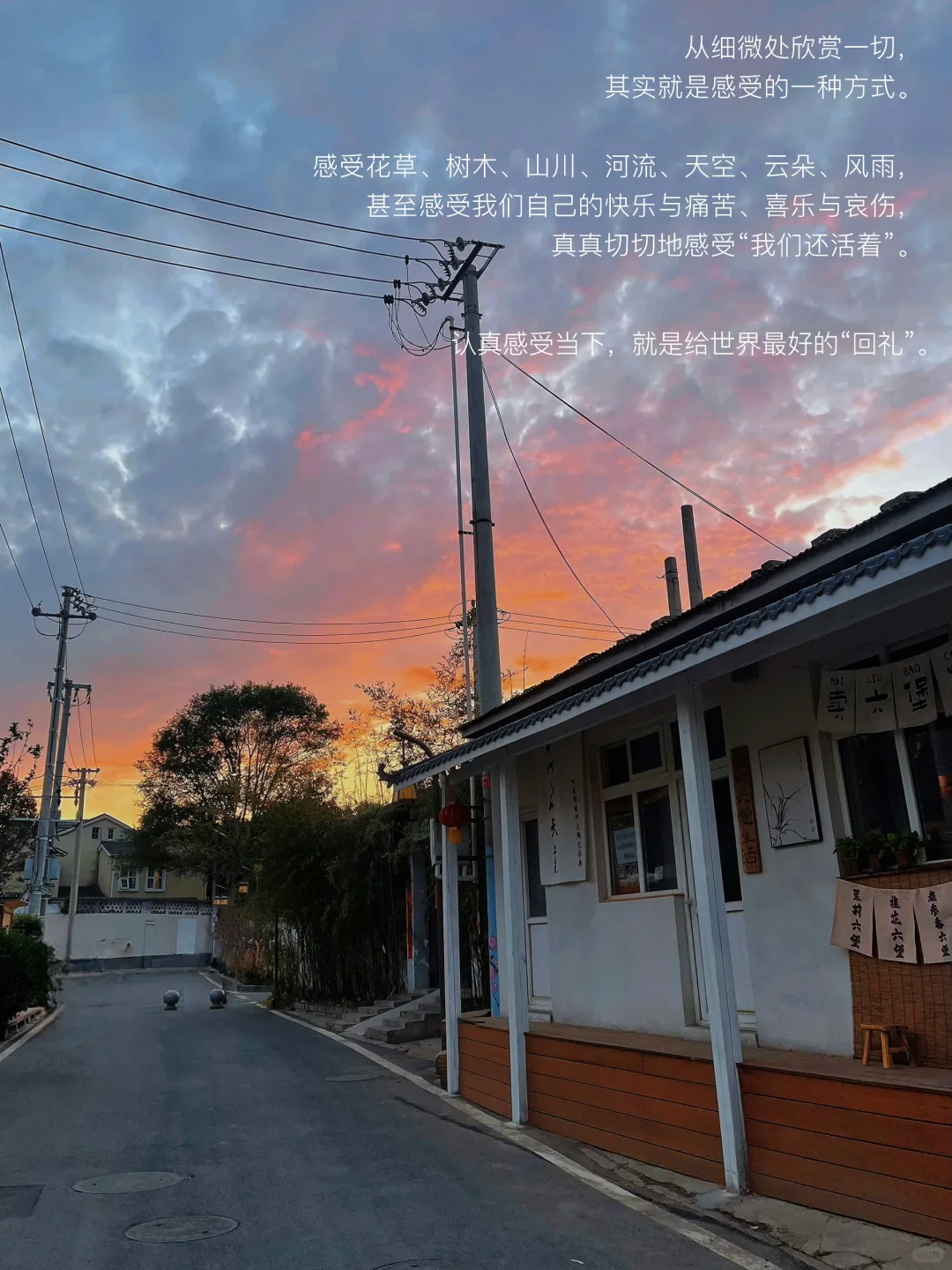只要我们还在感受，世界就依然生动