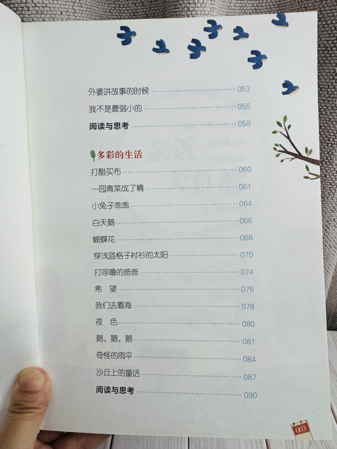 这才是一年级《和大人一起读》正确打开方式✅