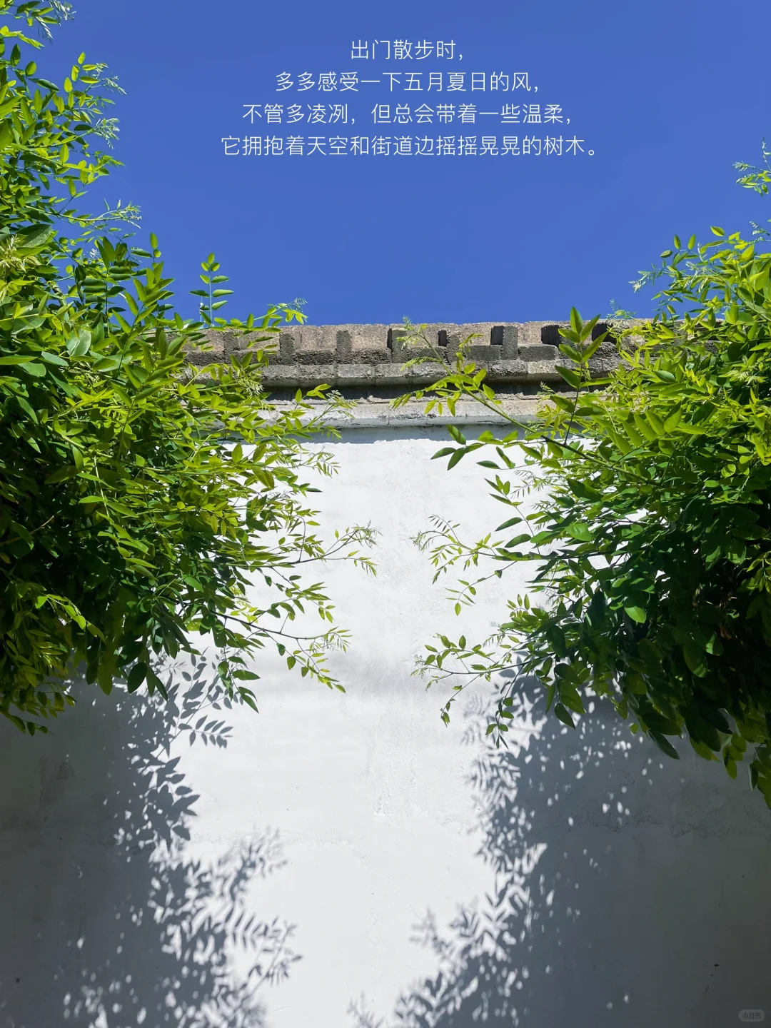 只要我们还在感受，世界就依然生动