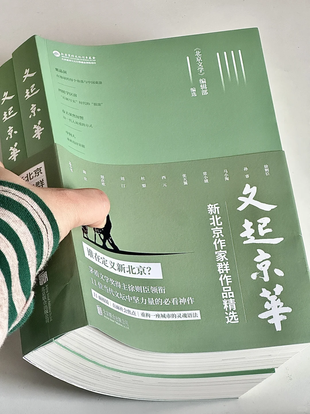 😭篇篇封神！我今年读到最好的文学小说年选！