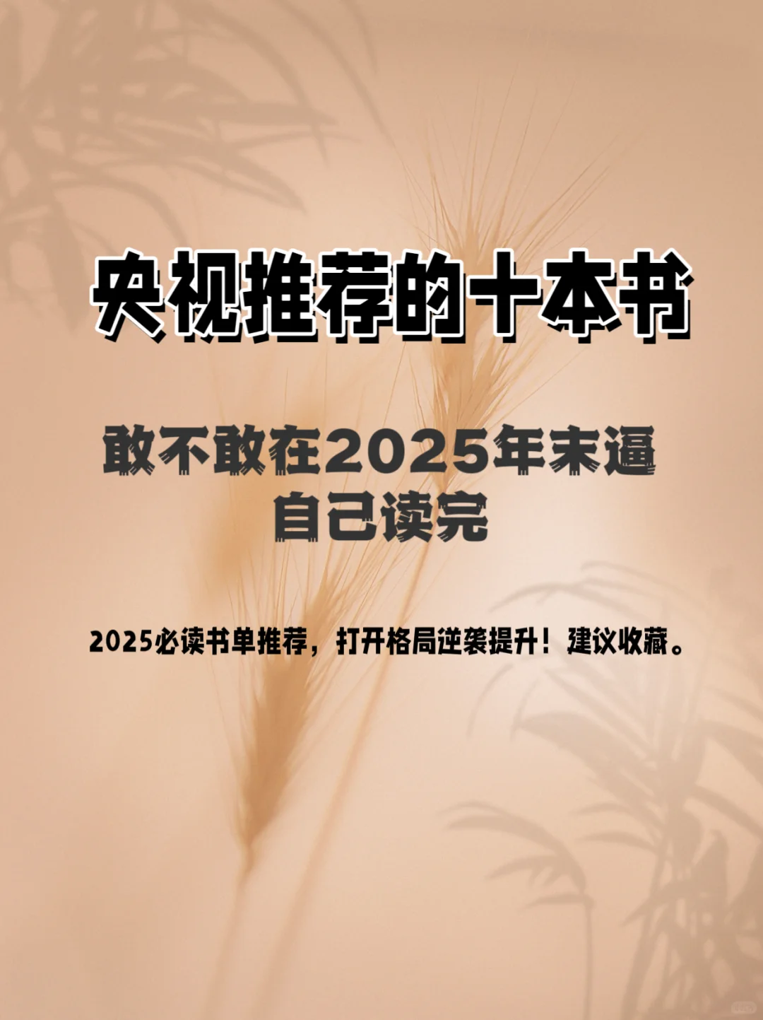 敢不敢在2025年下半年🍀逼自己读完这些书