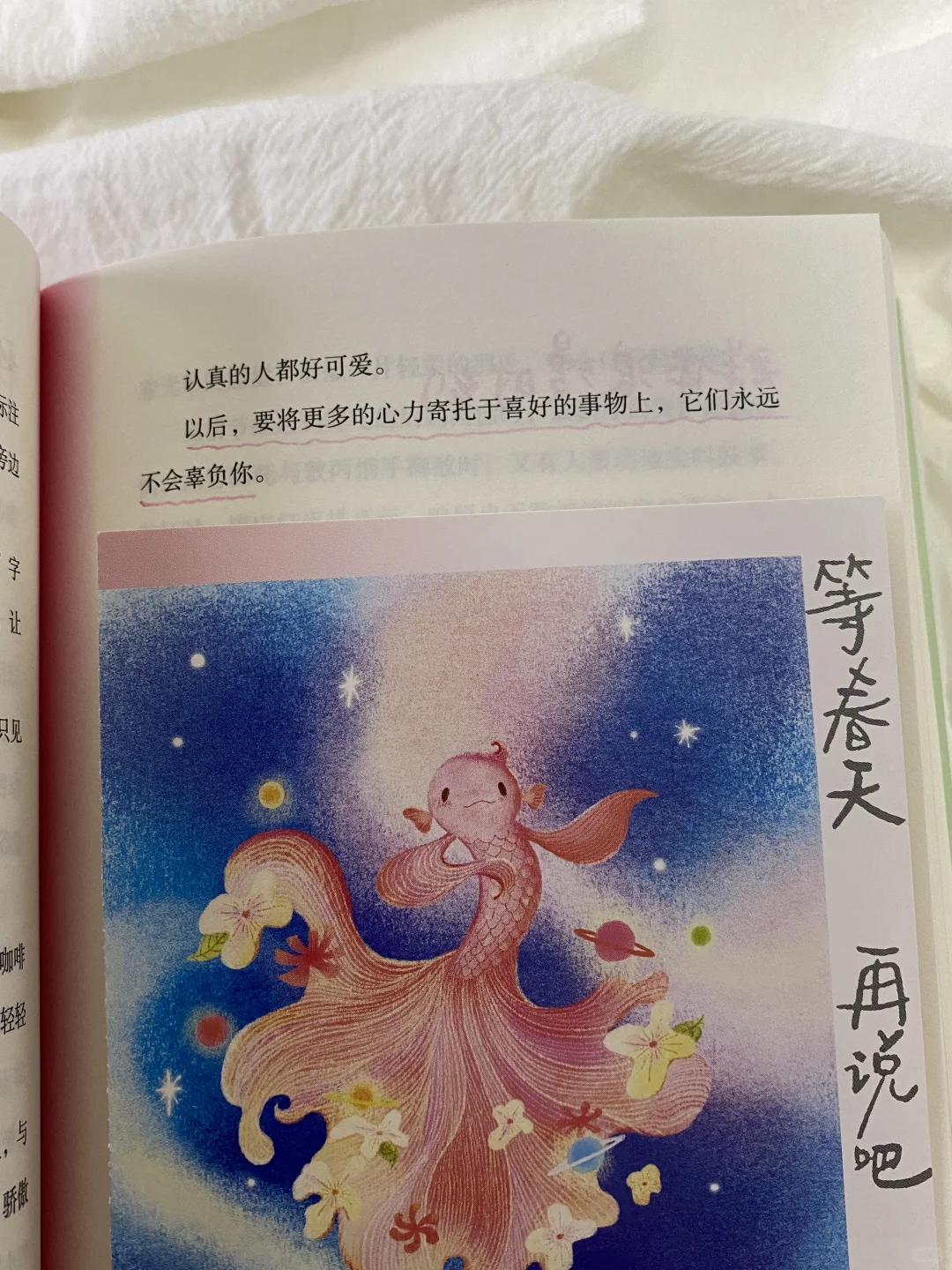 终于等到张皓辰新书，真的太太治愈了