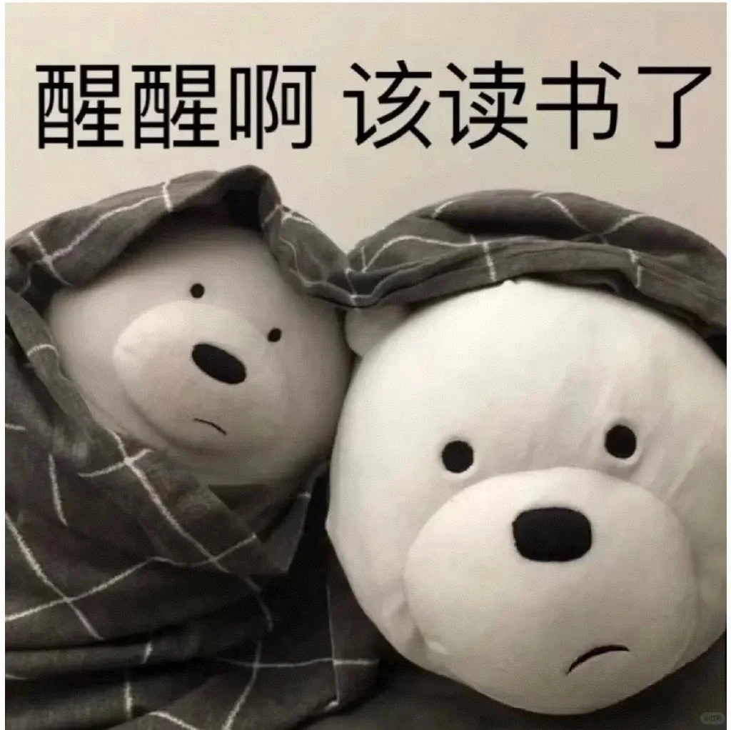 醒来啊，该读书了！📚