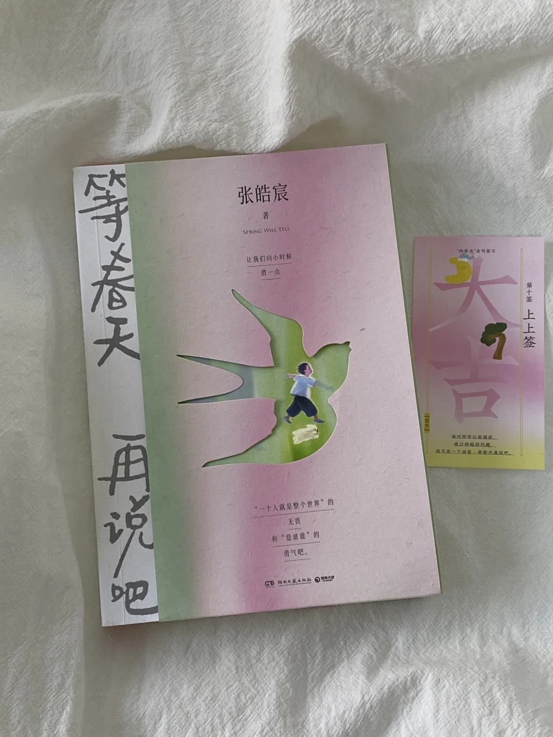 终于等到张皓辰新书，真的太太治愈了