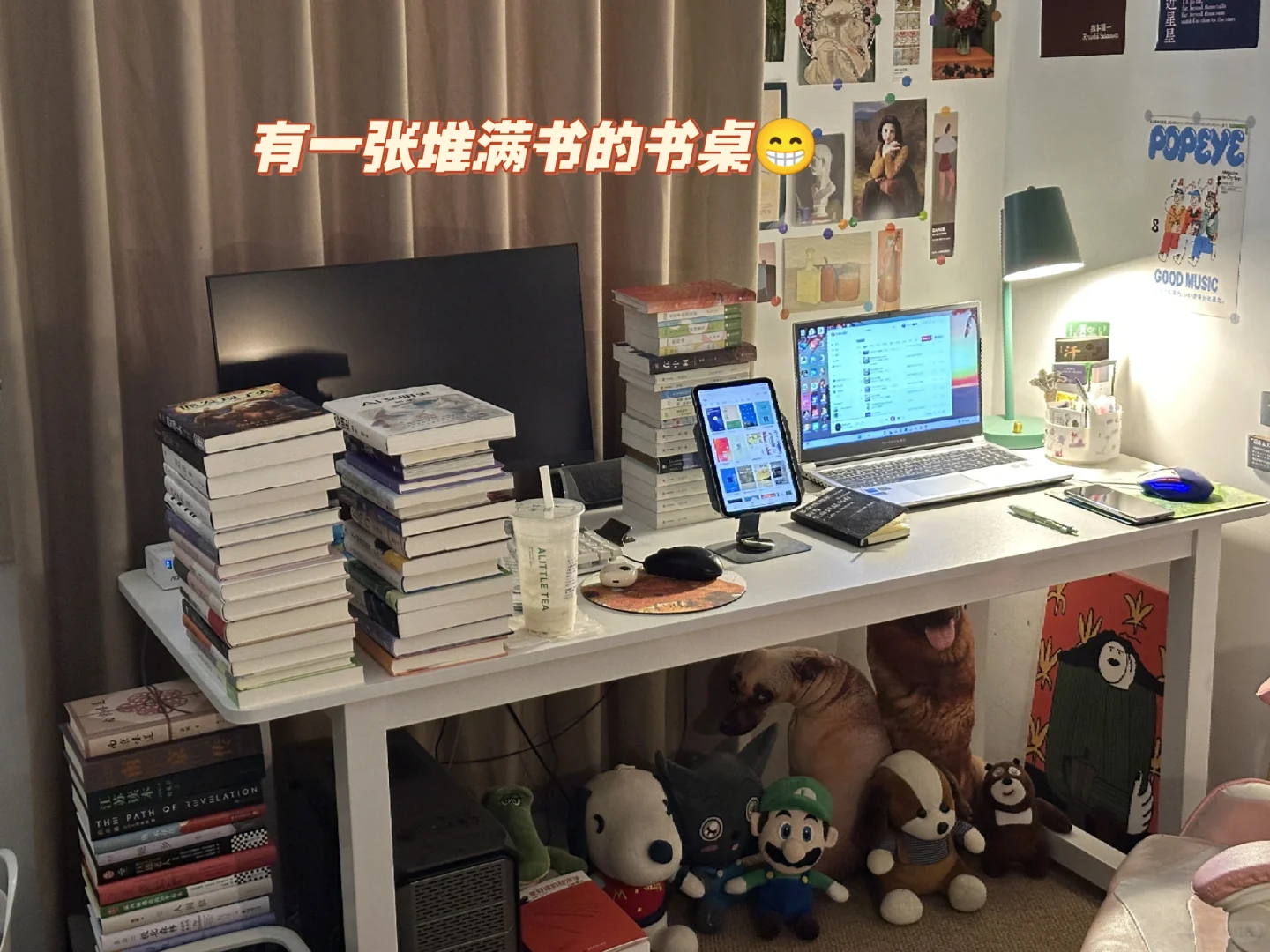 我好像已经过上了读书人里最好的生活
