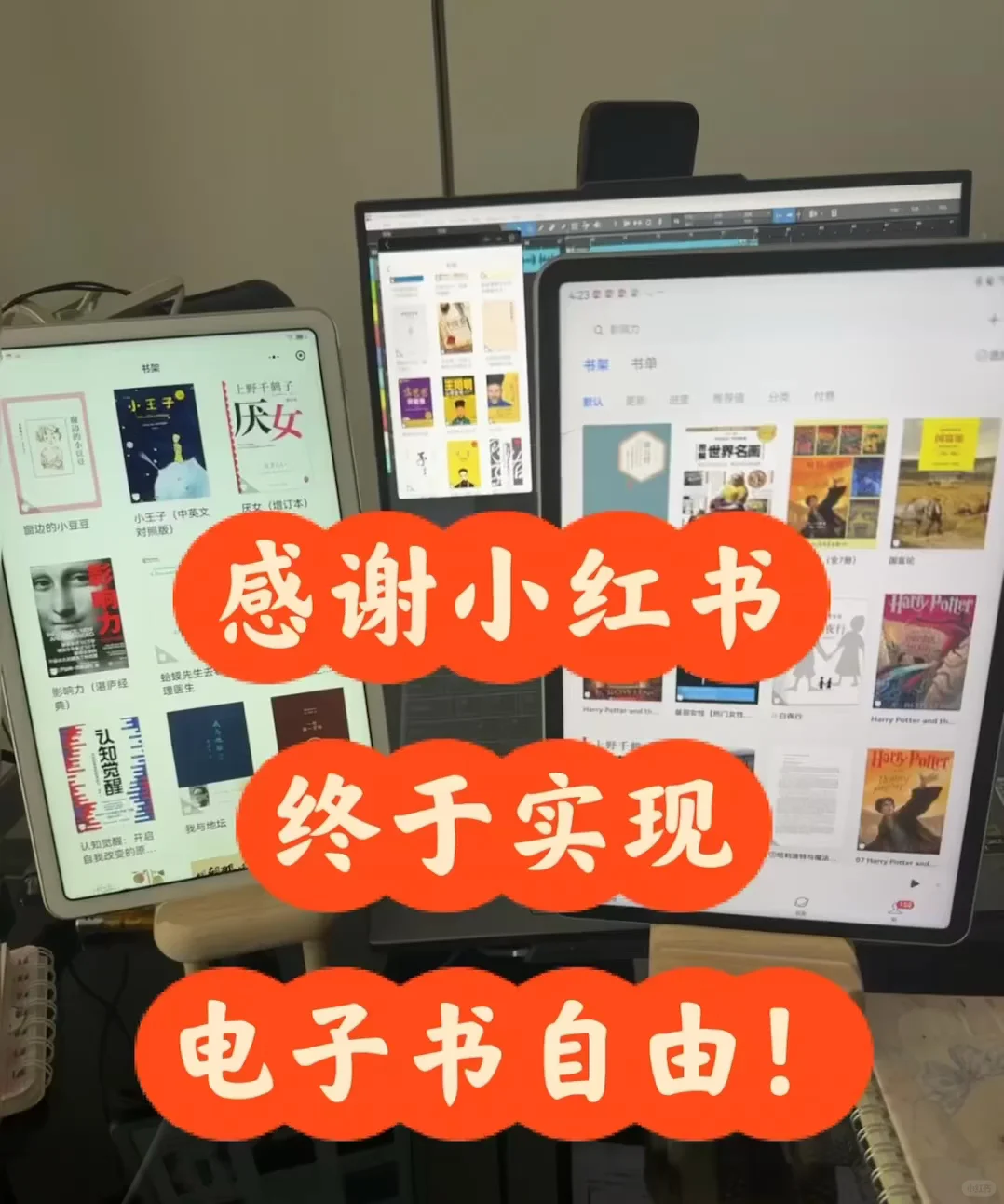 读书博主心头好 ❤️电子书太太太太香啦❗