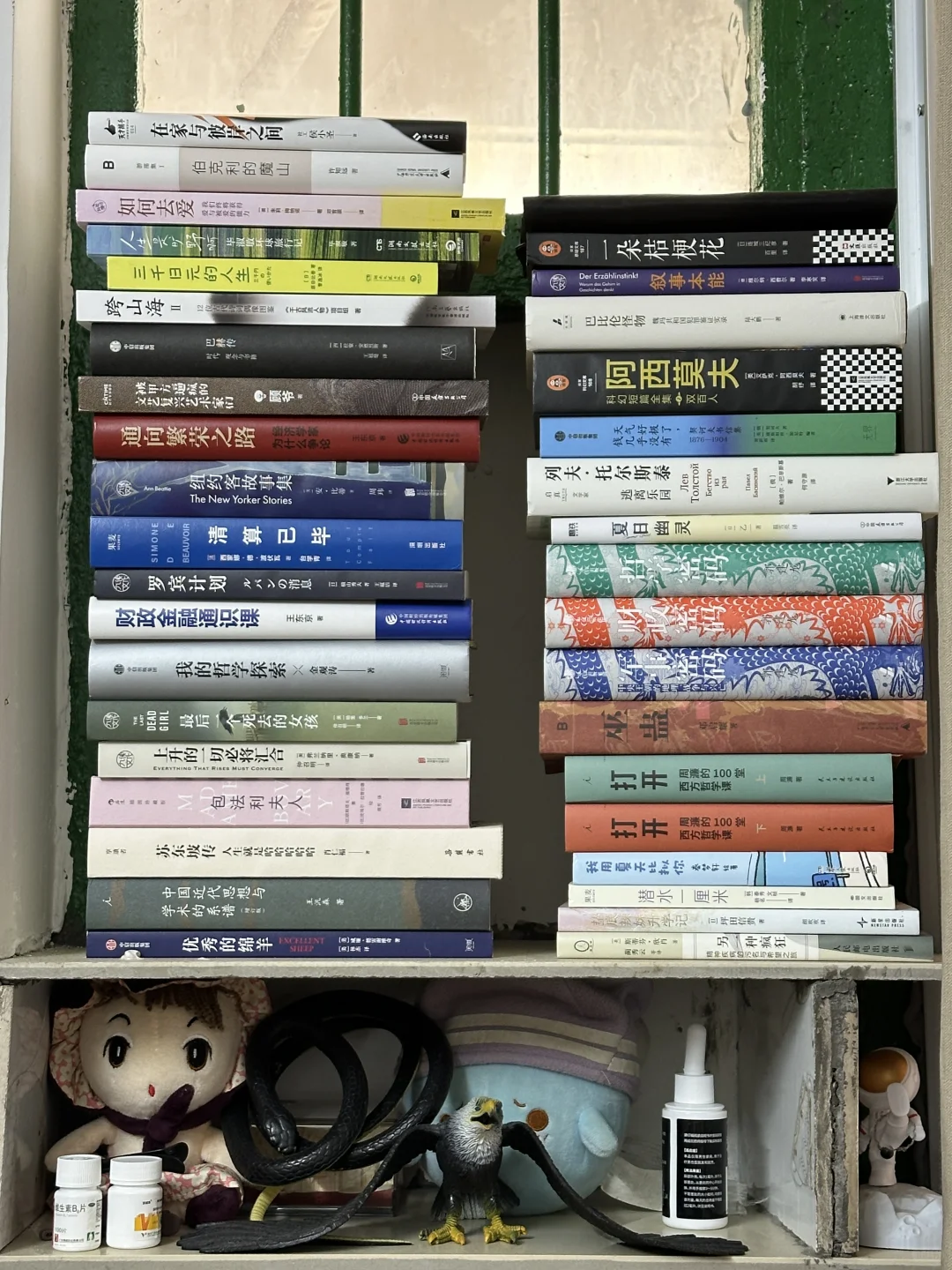 我好像已经过上了读书人里最好的生活