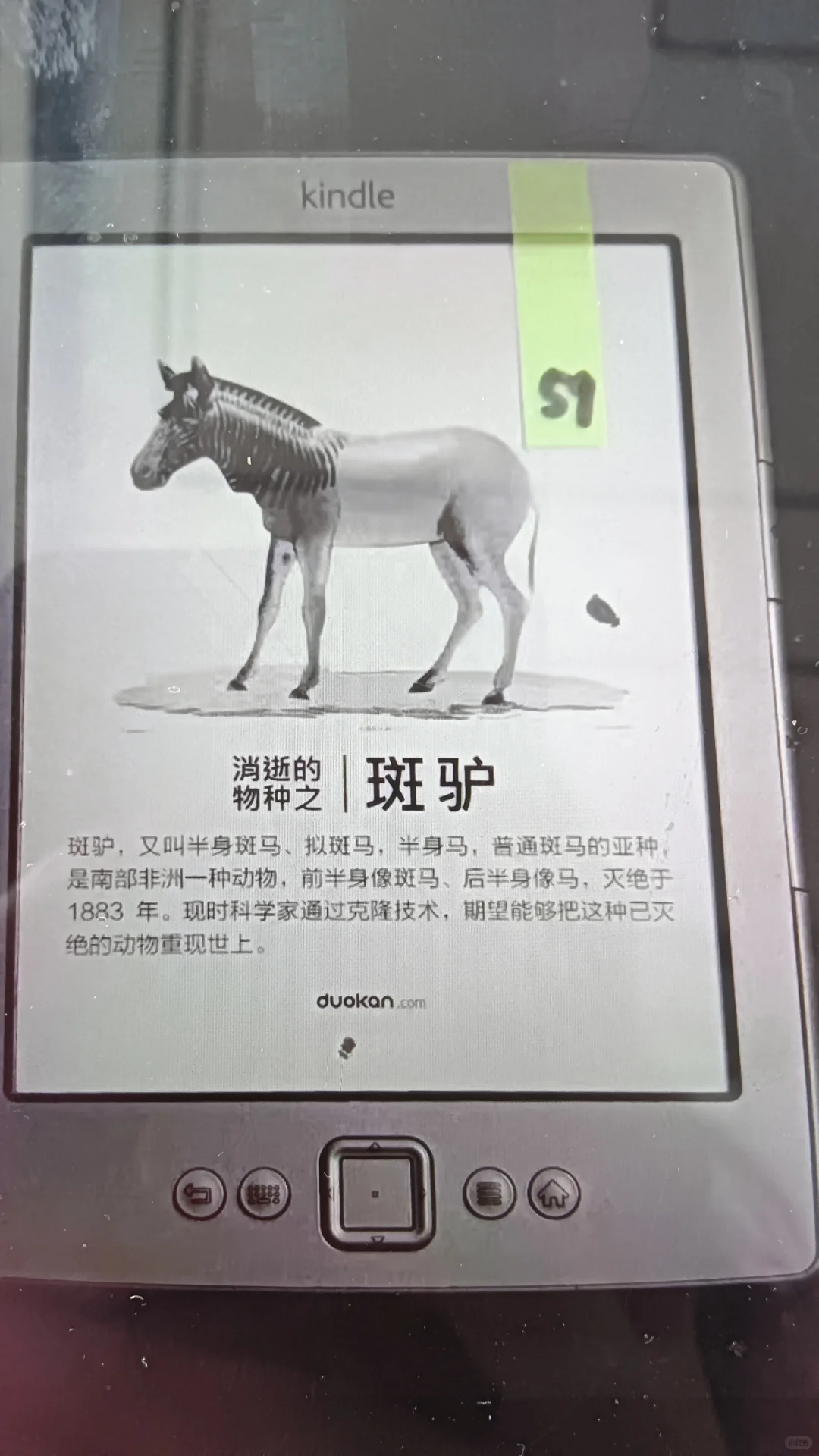 二手阅读器