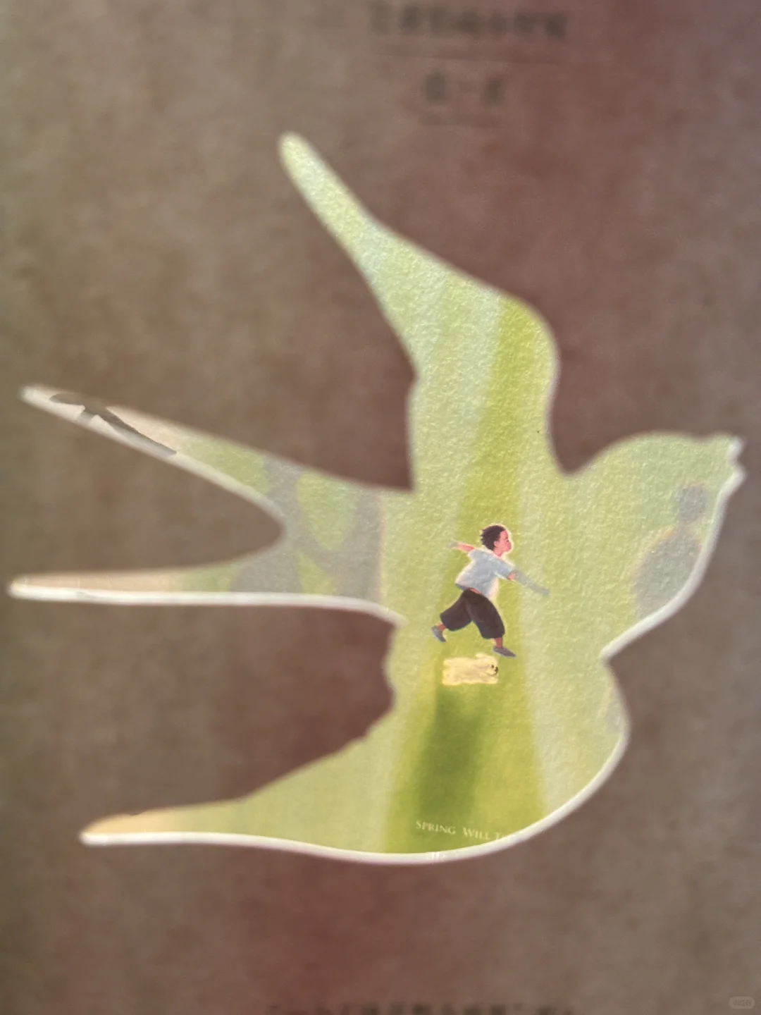 等春天🕊️希望每位朋友都可以读到这本书❗️
